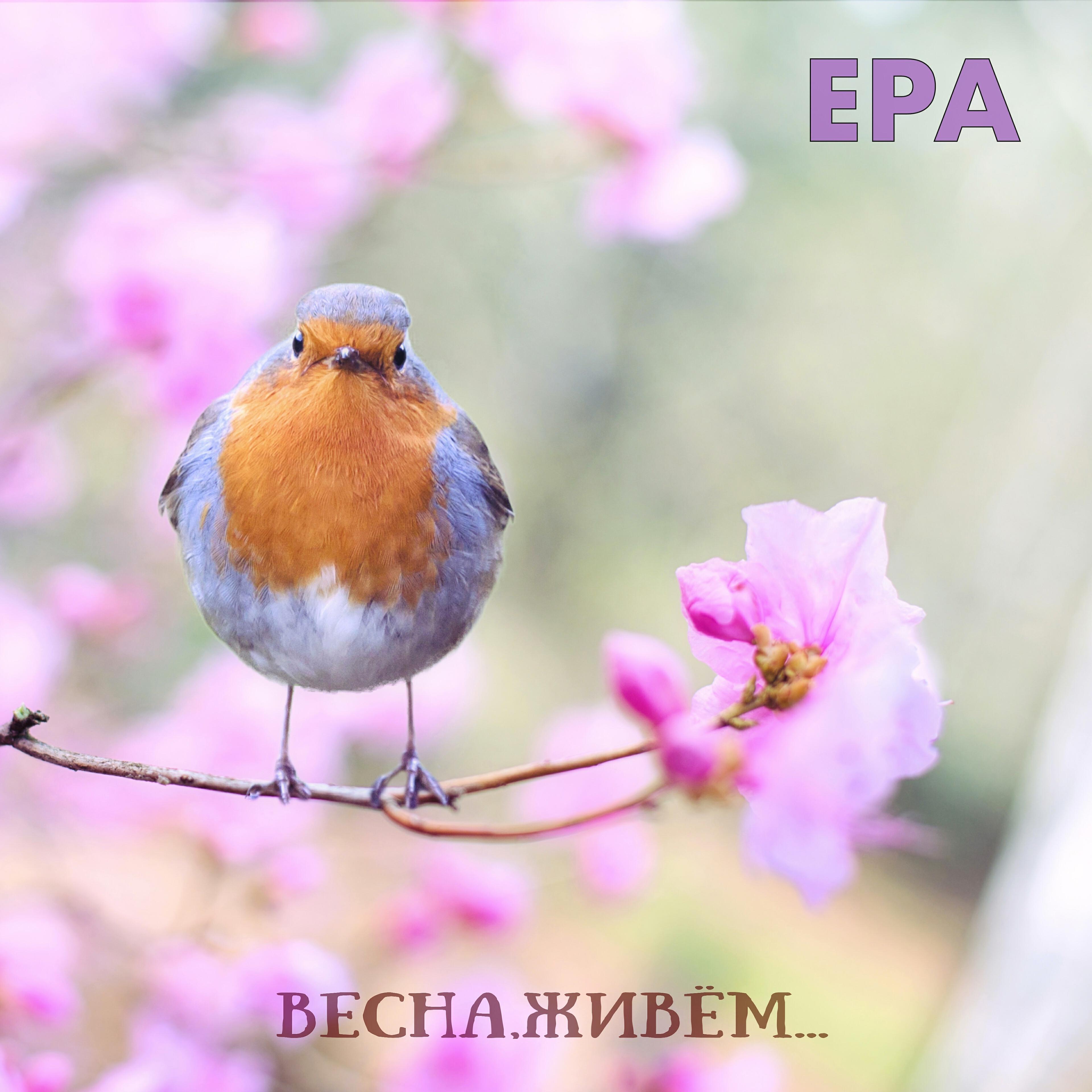 Ера