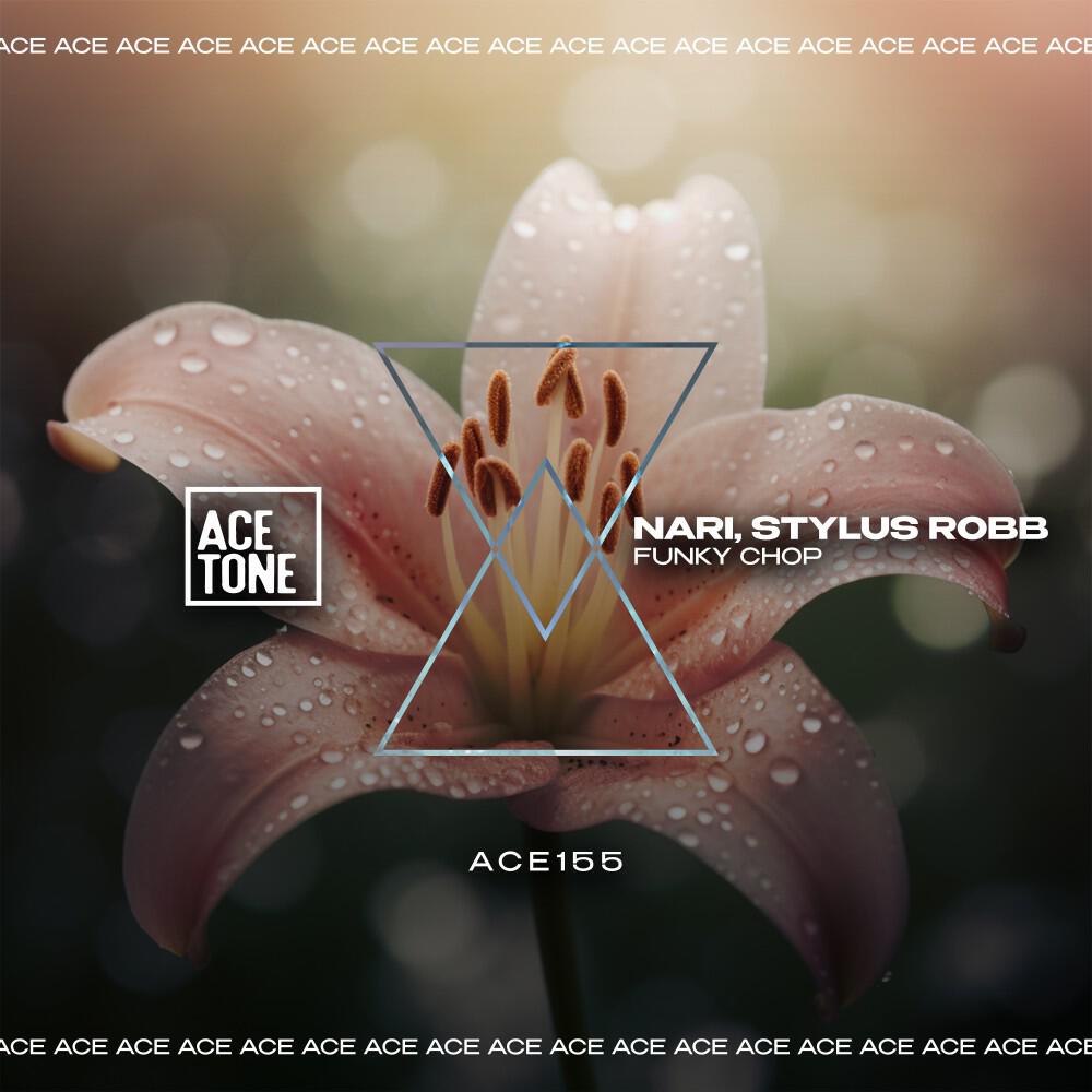 Скачать песню Nari, Stylus Robb - Funky Chop (Original Mix) бесплатно в MP3 для Android и iOS