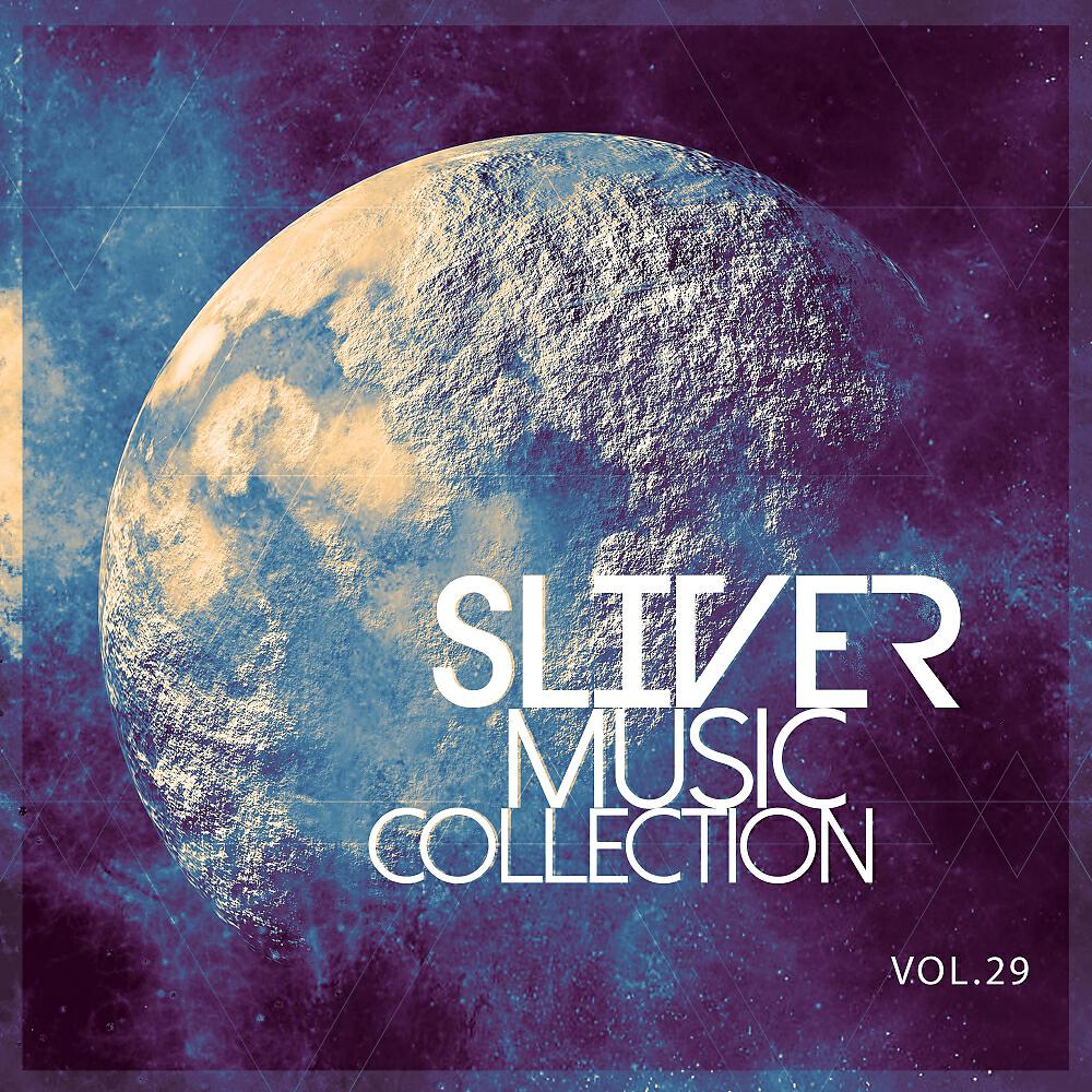 Релиз Sliver Music Collection, Vol.29