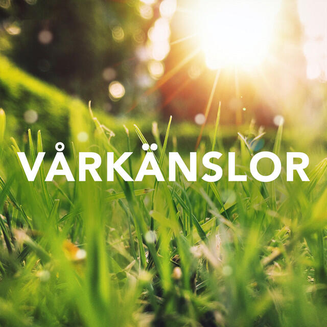 Постер альбома Vårkänslor 2021