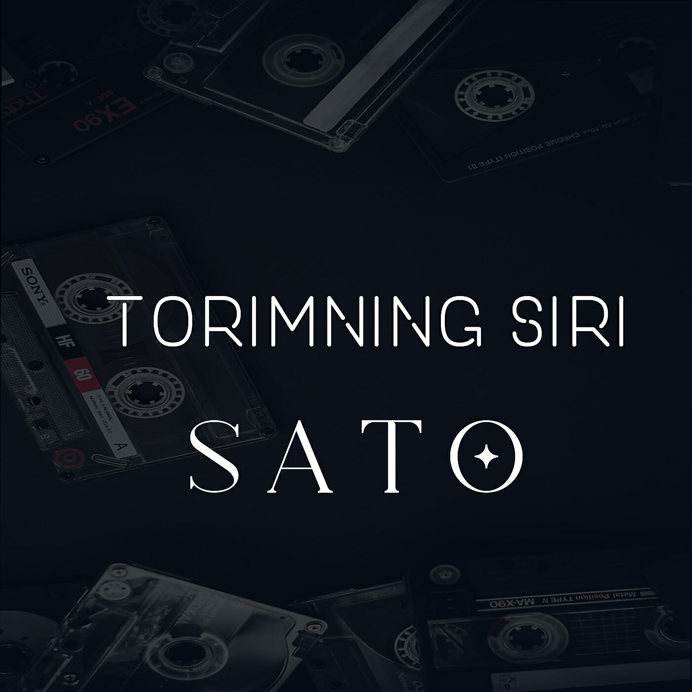 Постер альбома Torimning Siri