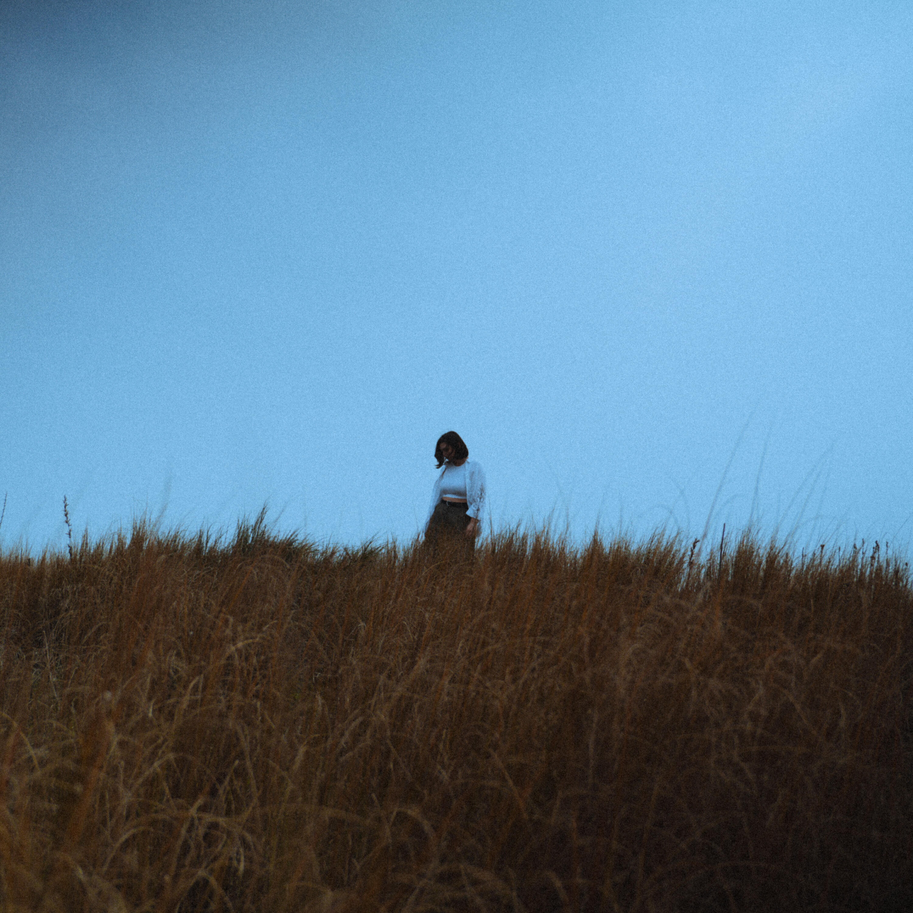 Релиз Tra il cielo e le strade