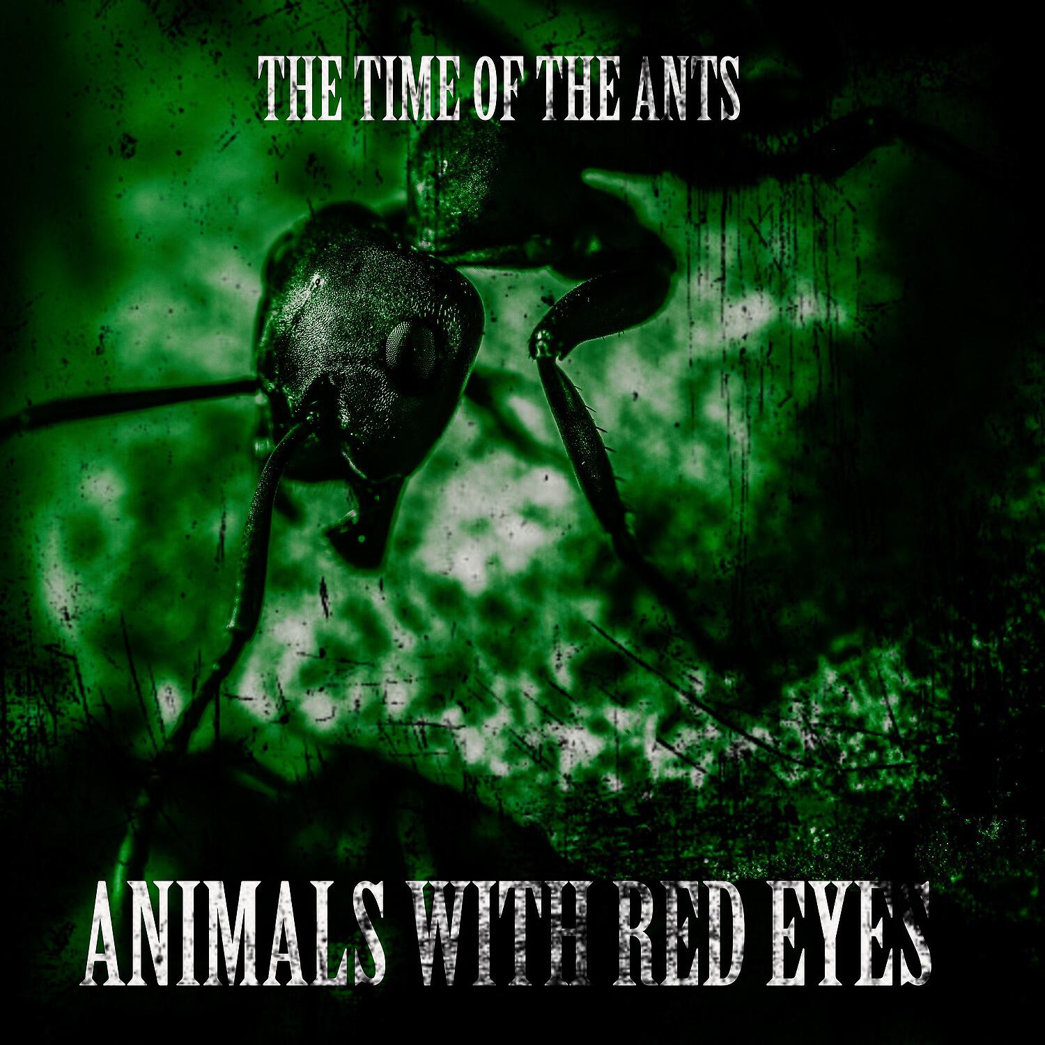 Релиз The Time of the Ants