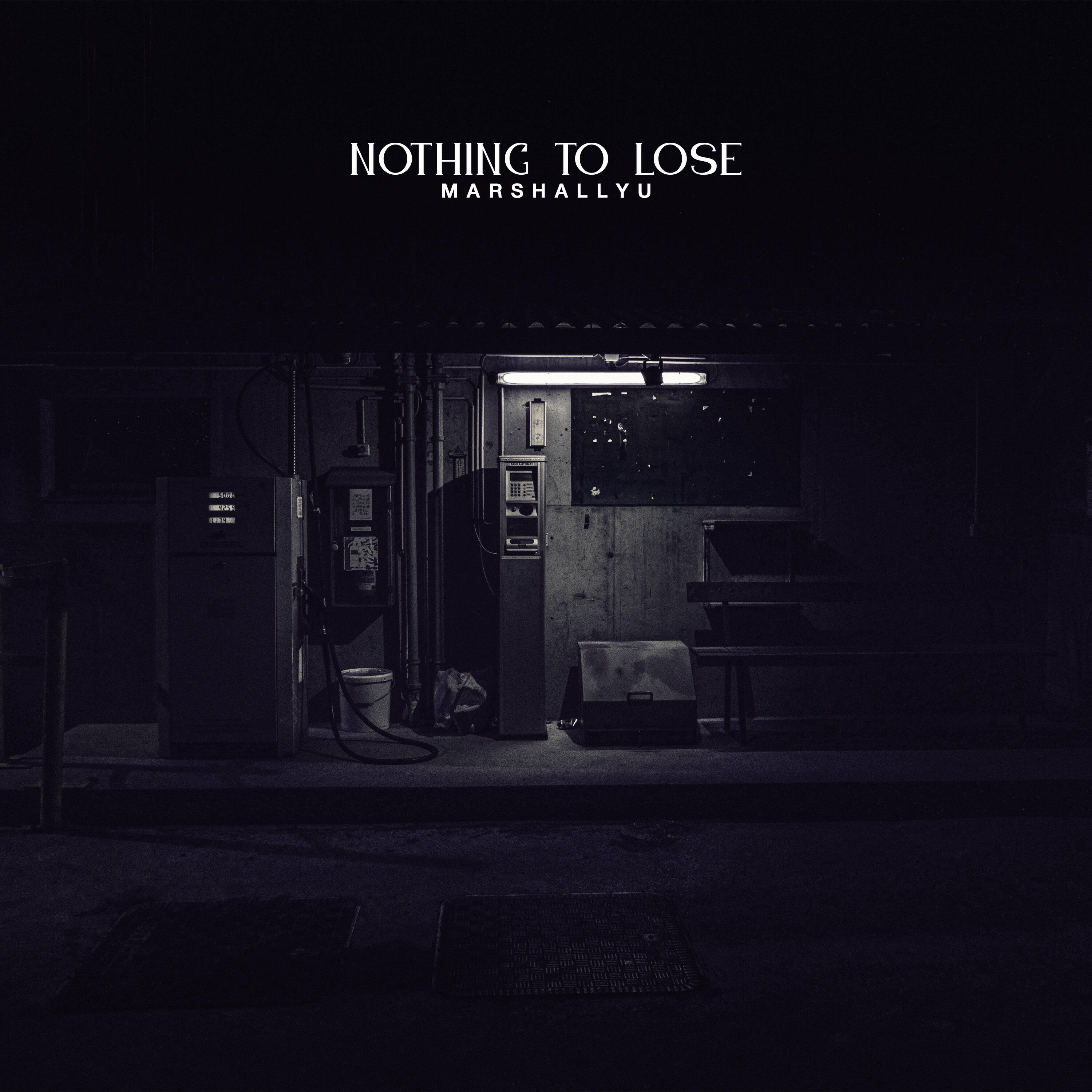 Релиз Nothing to Lose
