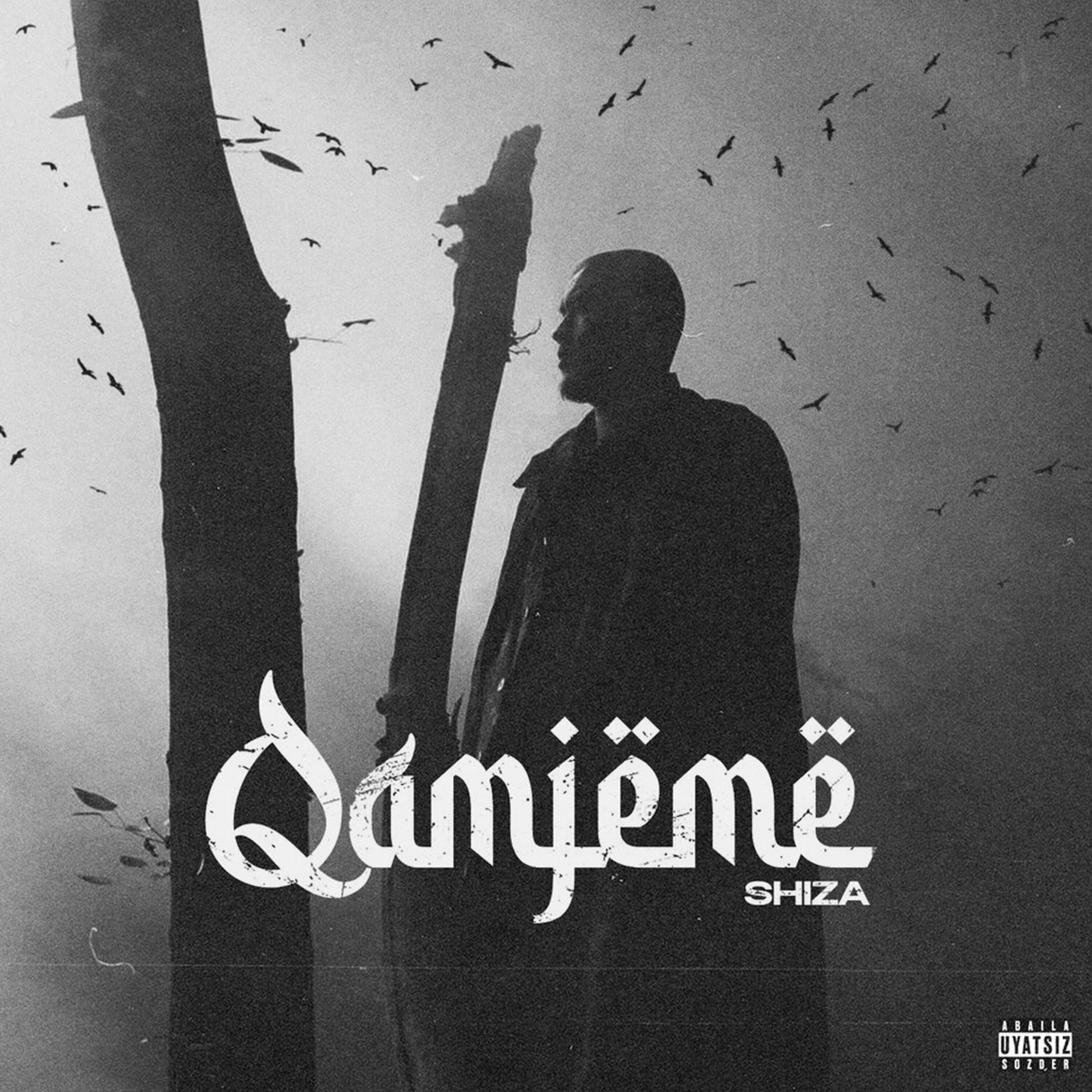 Релиз Qamjeme
