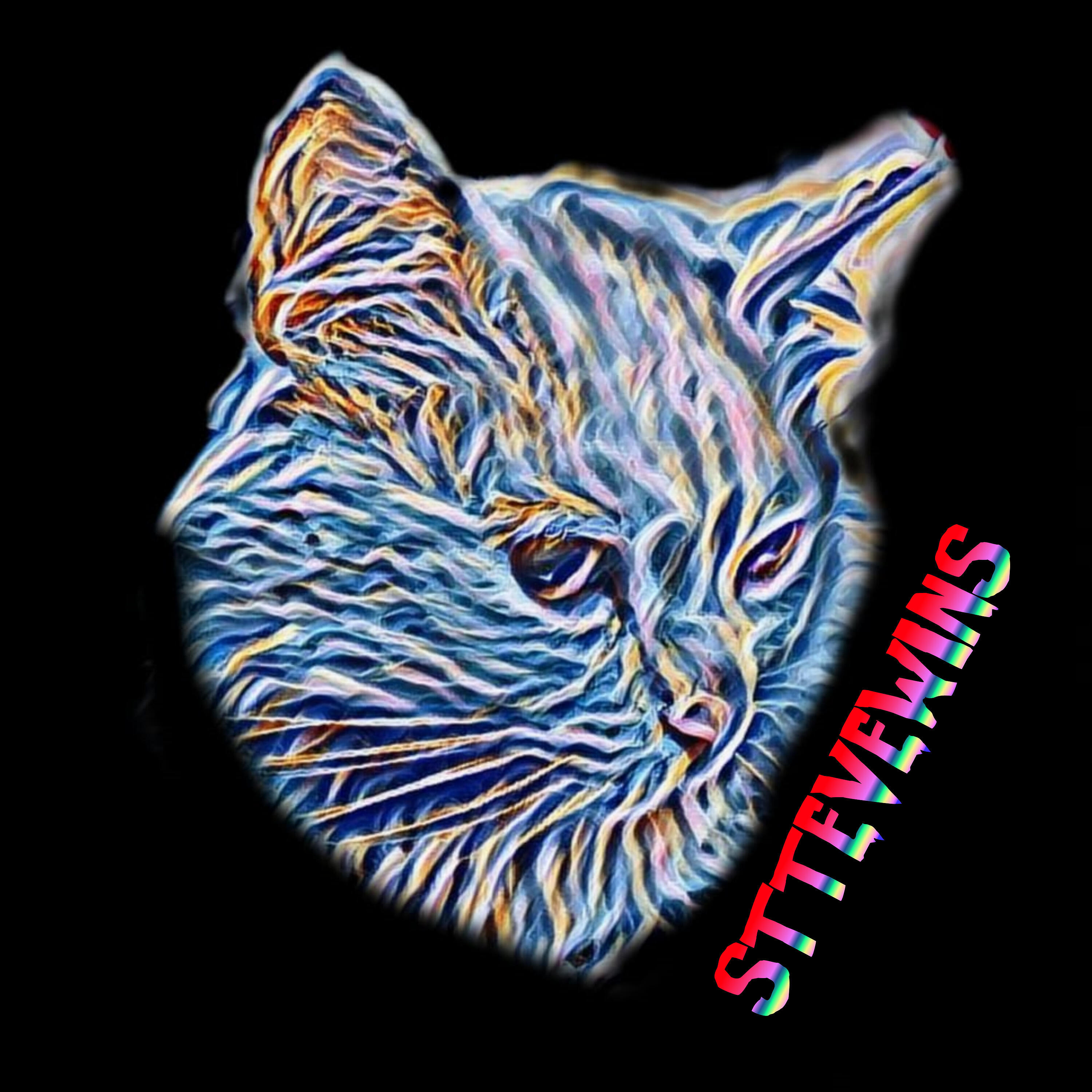 STTEVEWINS