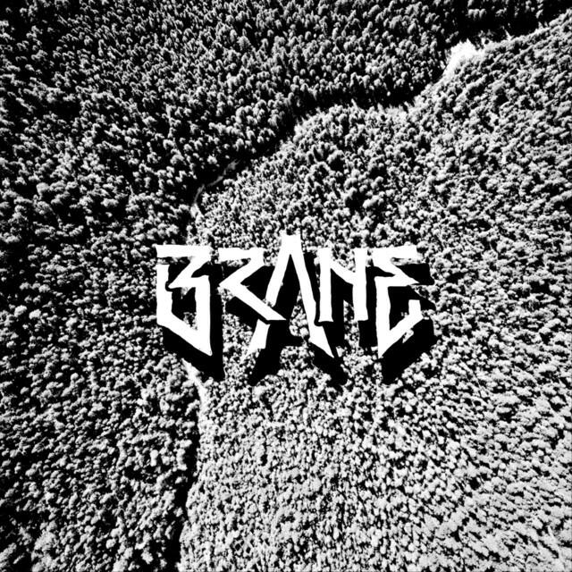 Релиз Brane