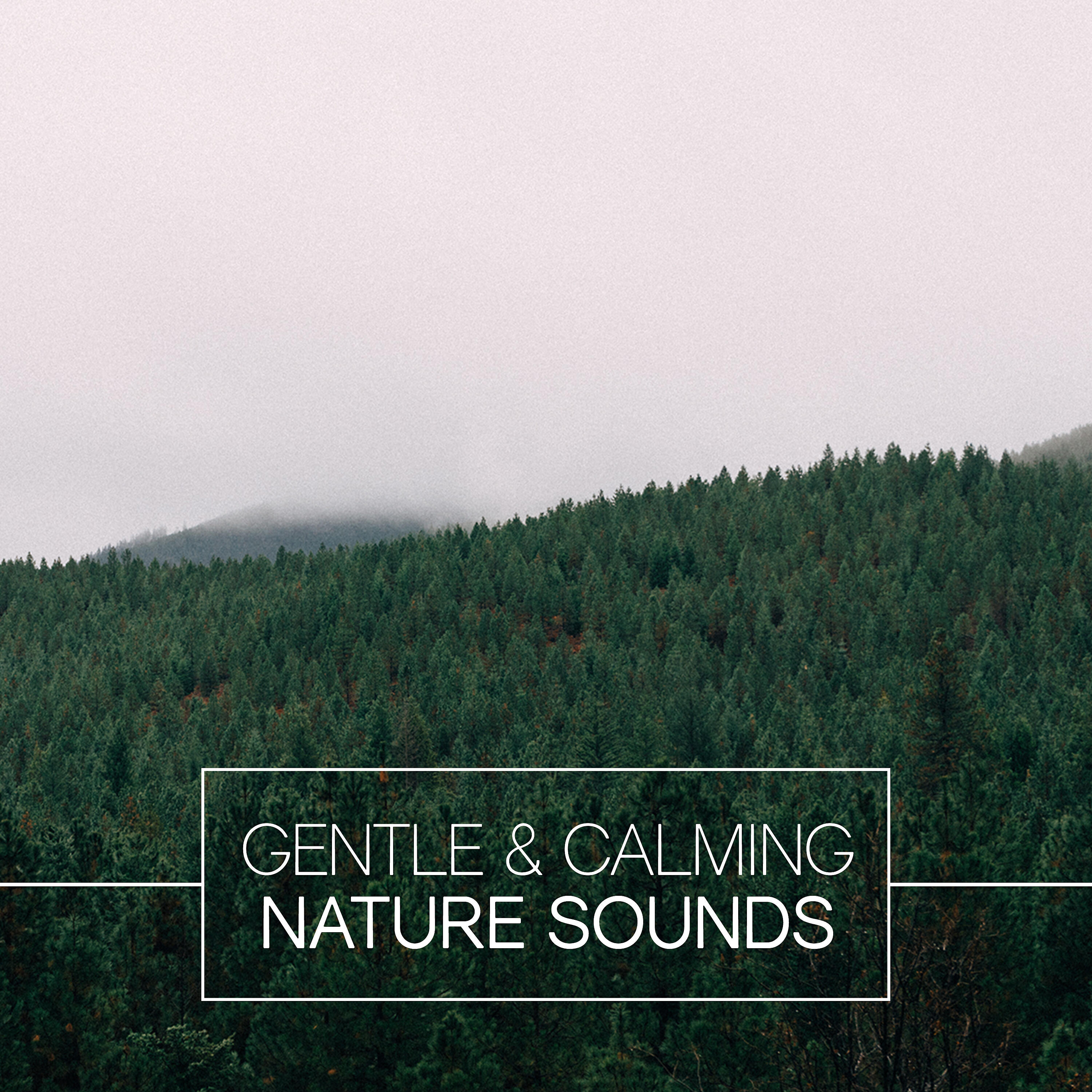 Релиз Gentle & Calming Nature Sounds