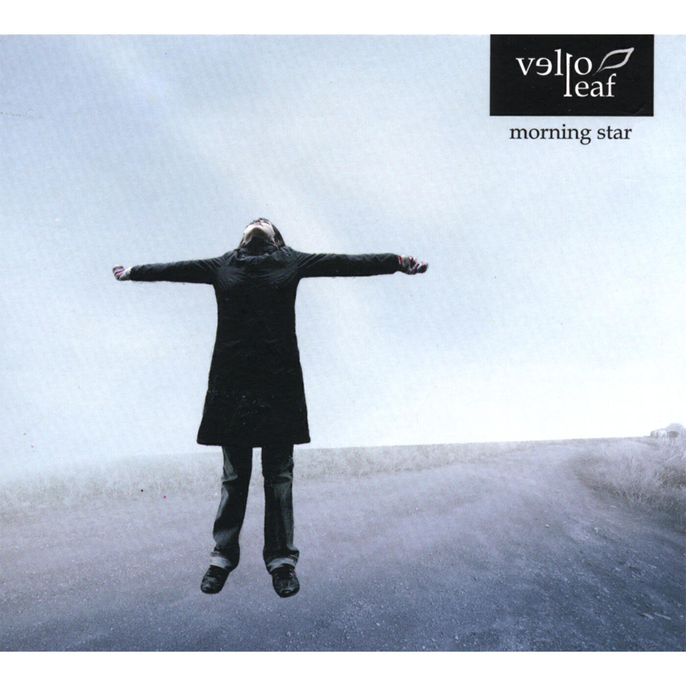 Релиз Morning Star