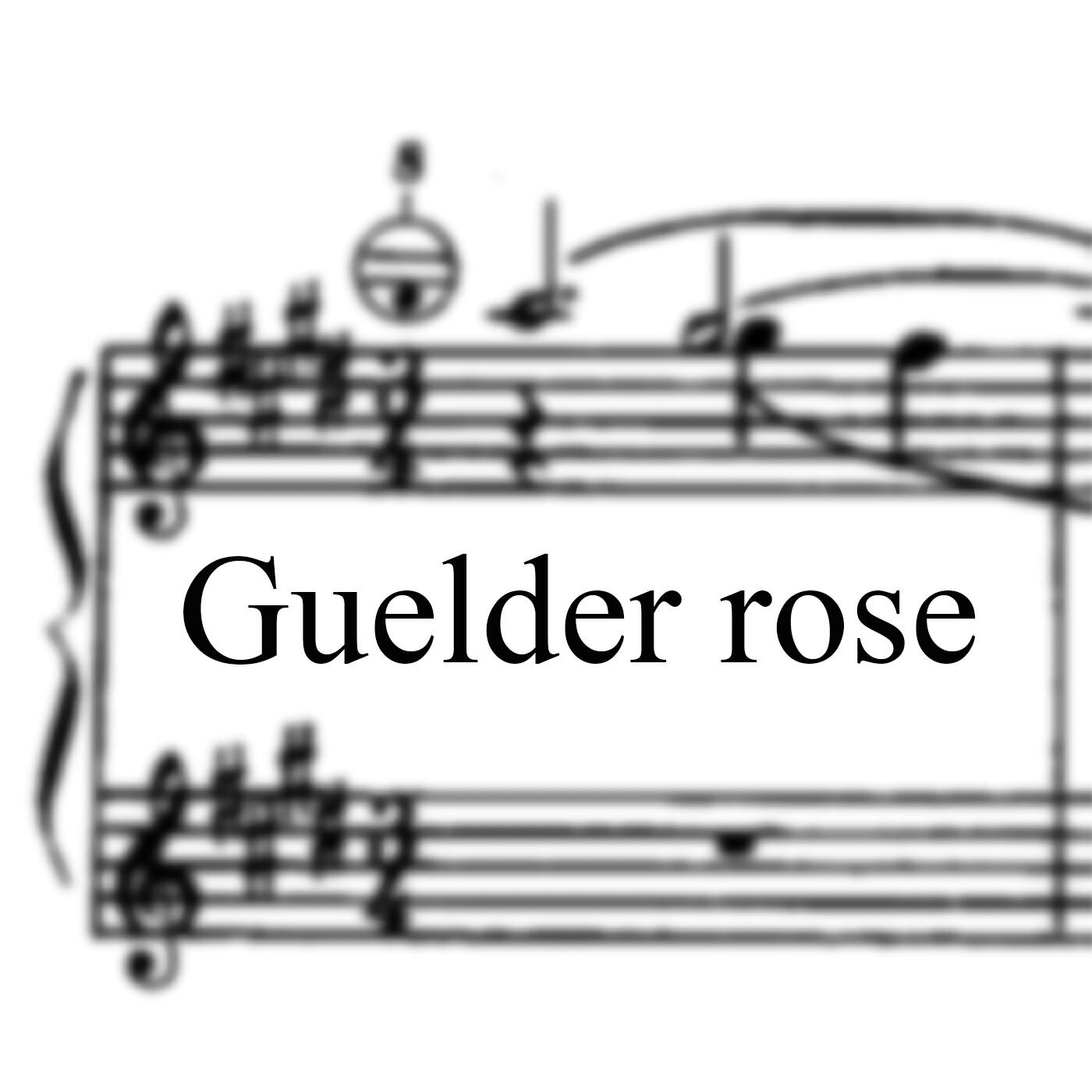 Релиз Guelder Rose