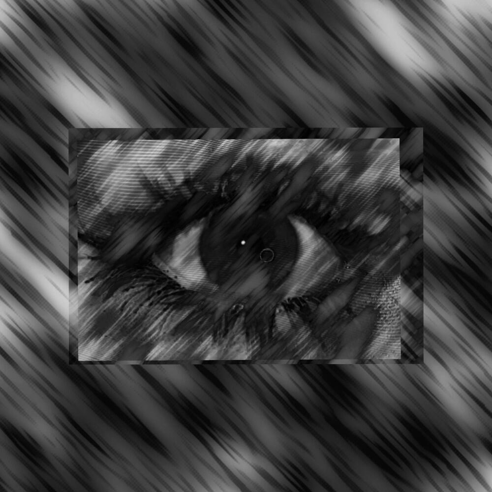 Релиз Rotten