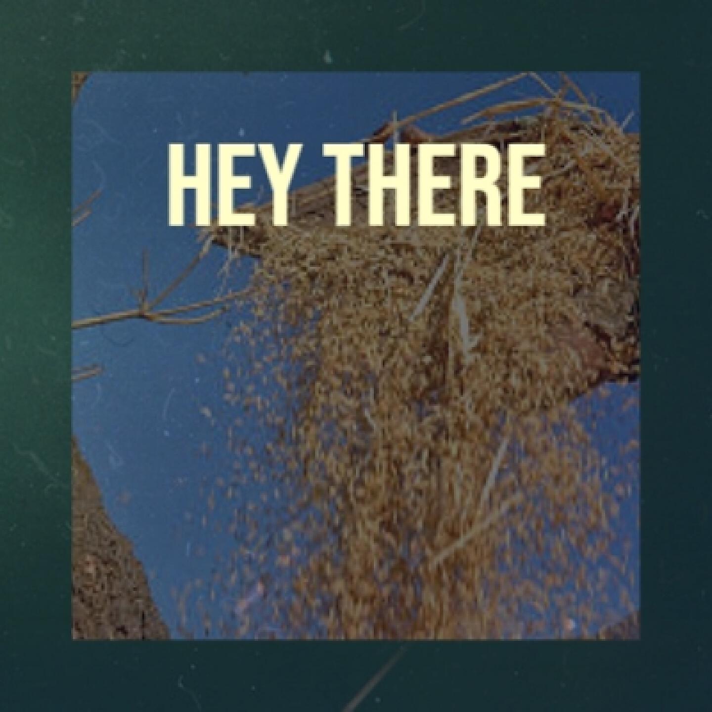 Релиз Hey There