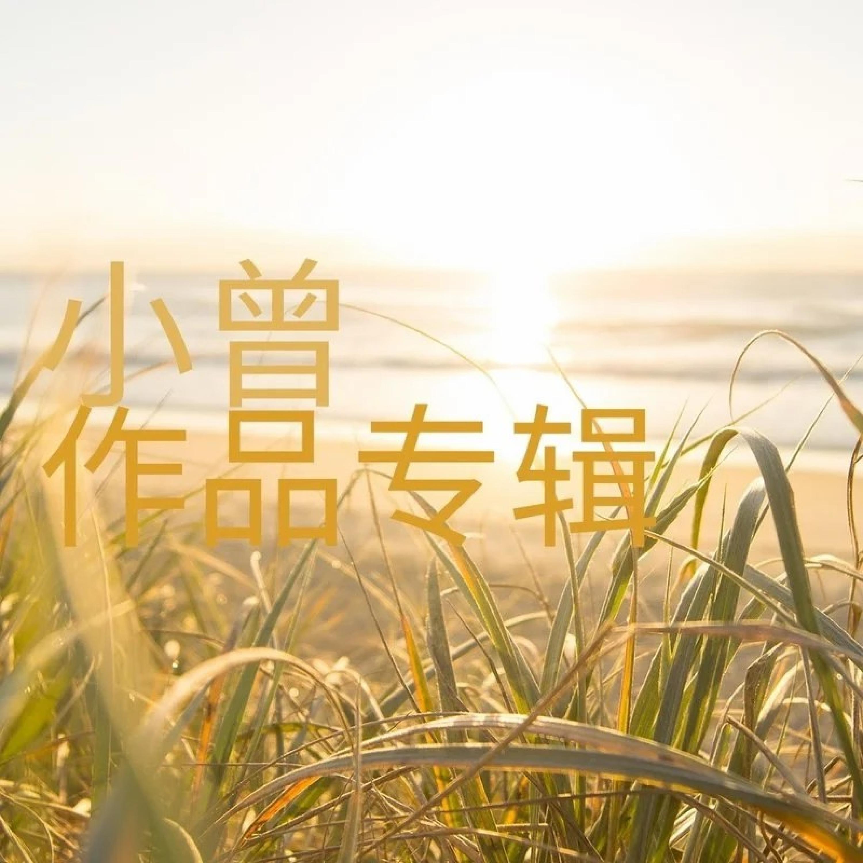 Релиз 小曾作品专辑