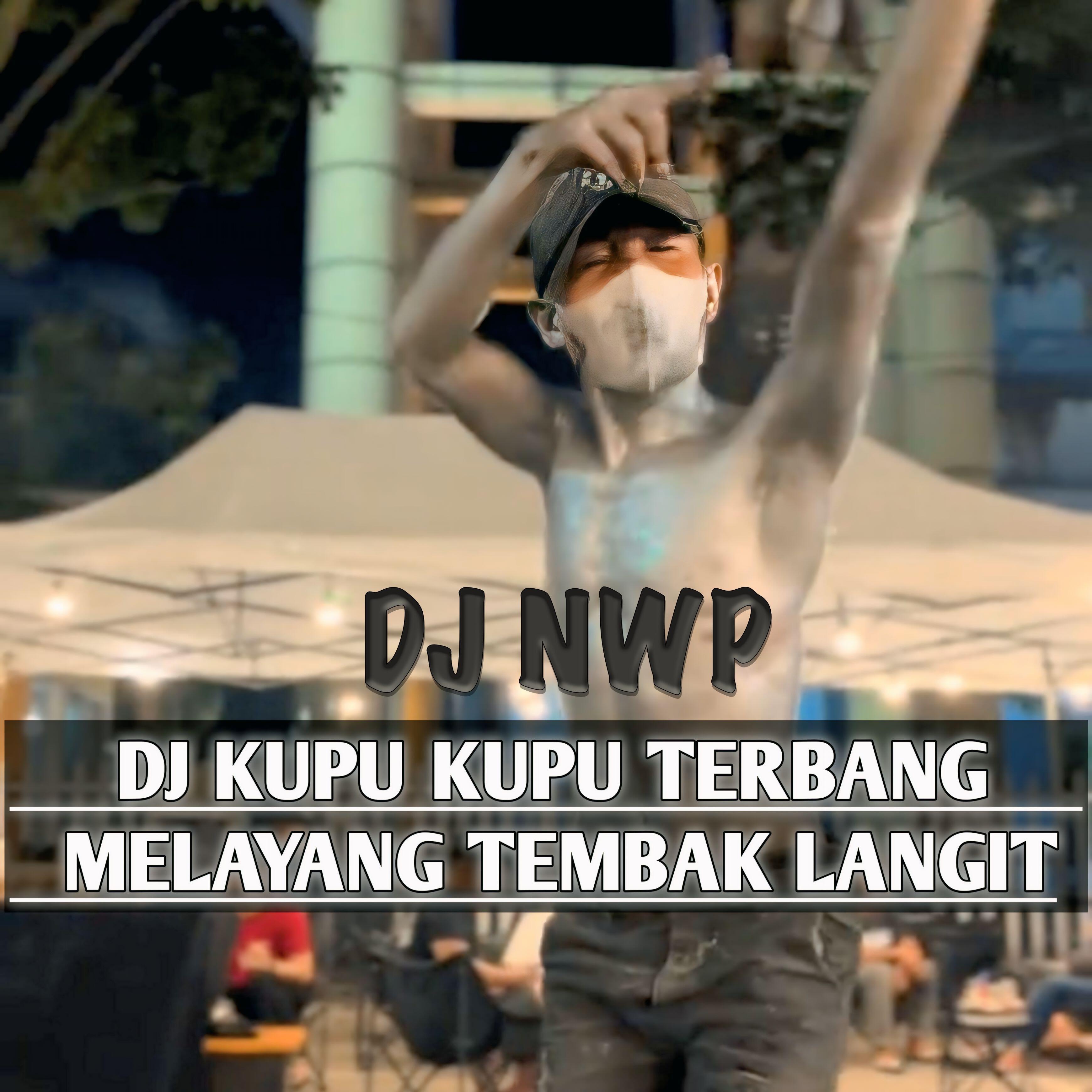 Релиз DJ Kupu Kupu Terbang Melayang Tembak Langit