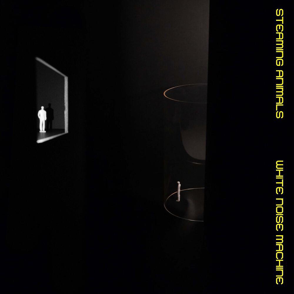 Релиз White Noise Machine