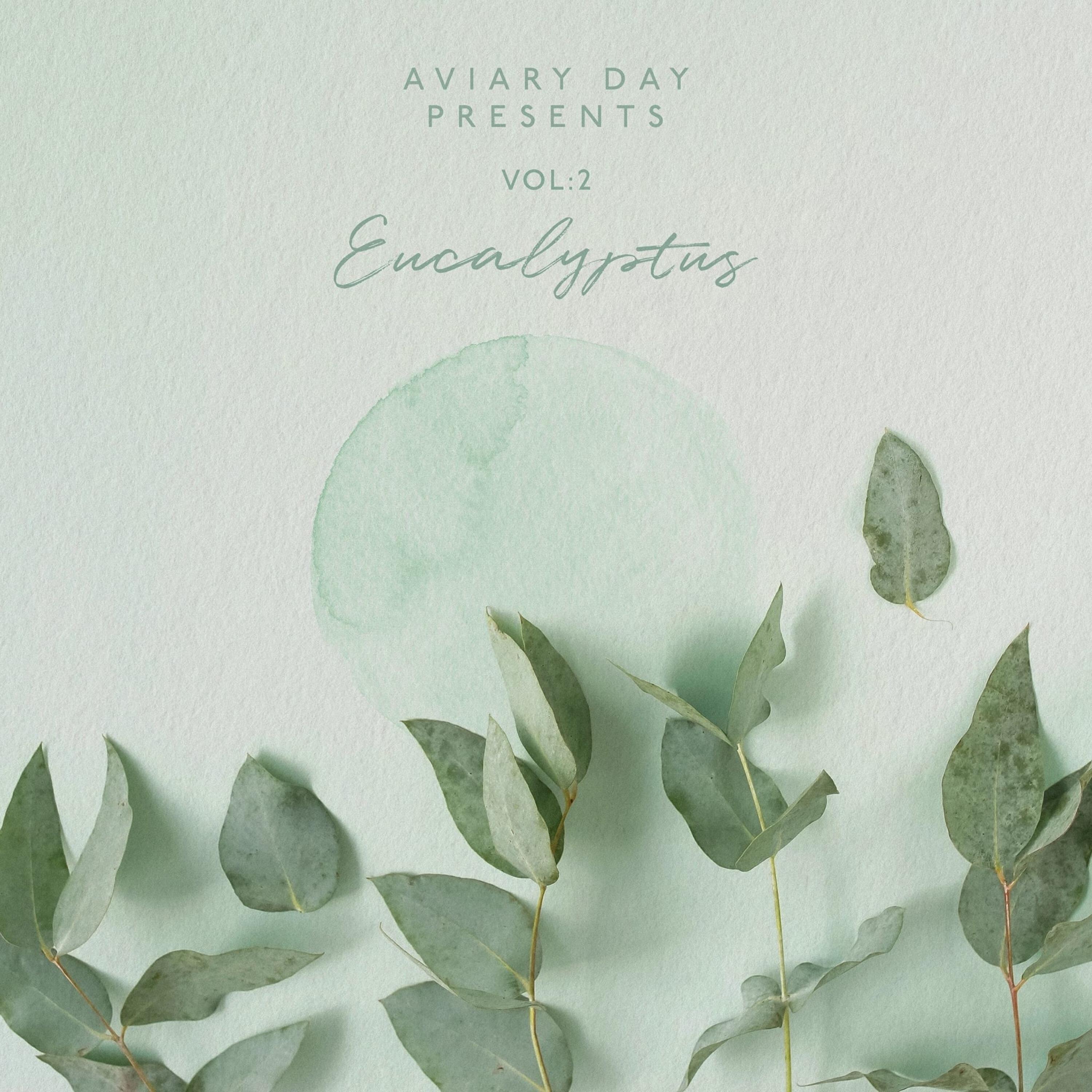 Релиз Vol.2: Eucalyptus