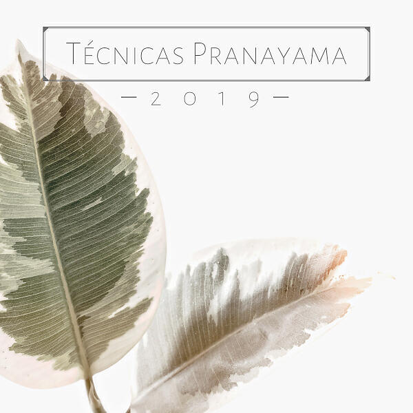 Релиз Técnicas Pranayama 2019 - 20 Canciones Ejercicios de Respiración y Yoga