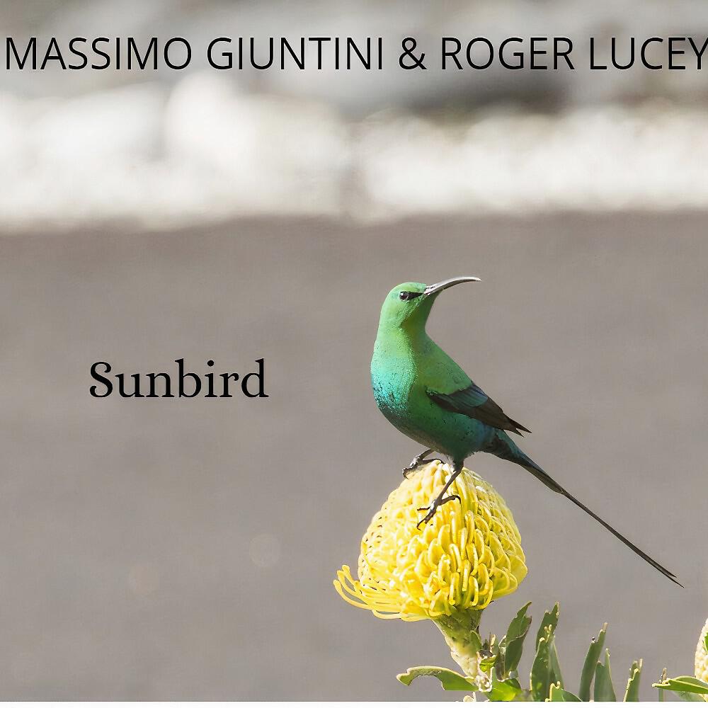 Релиз Sunbird