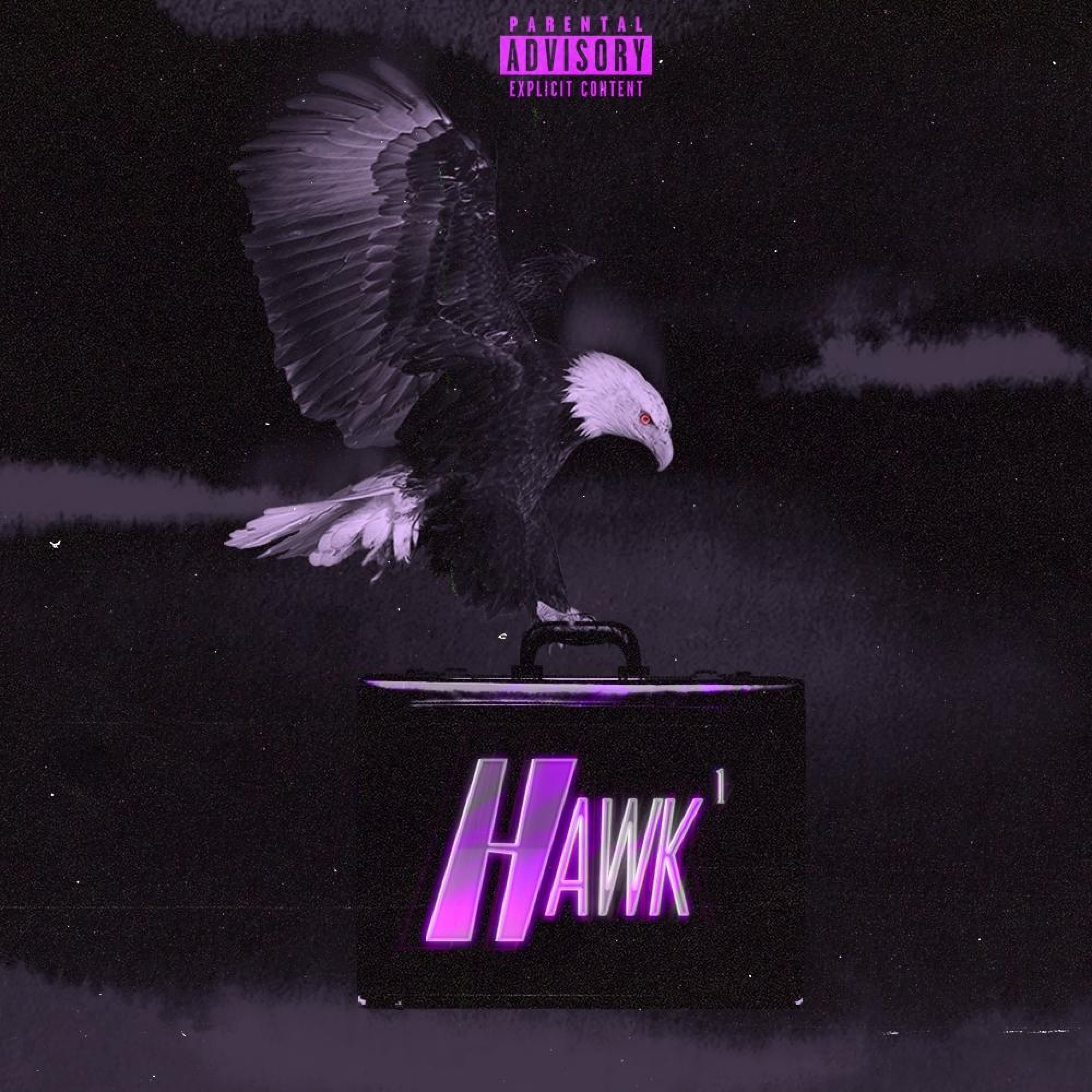 Релиз HAWK¹