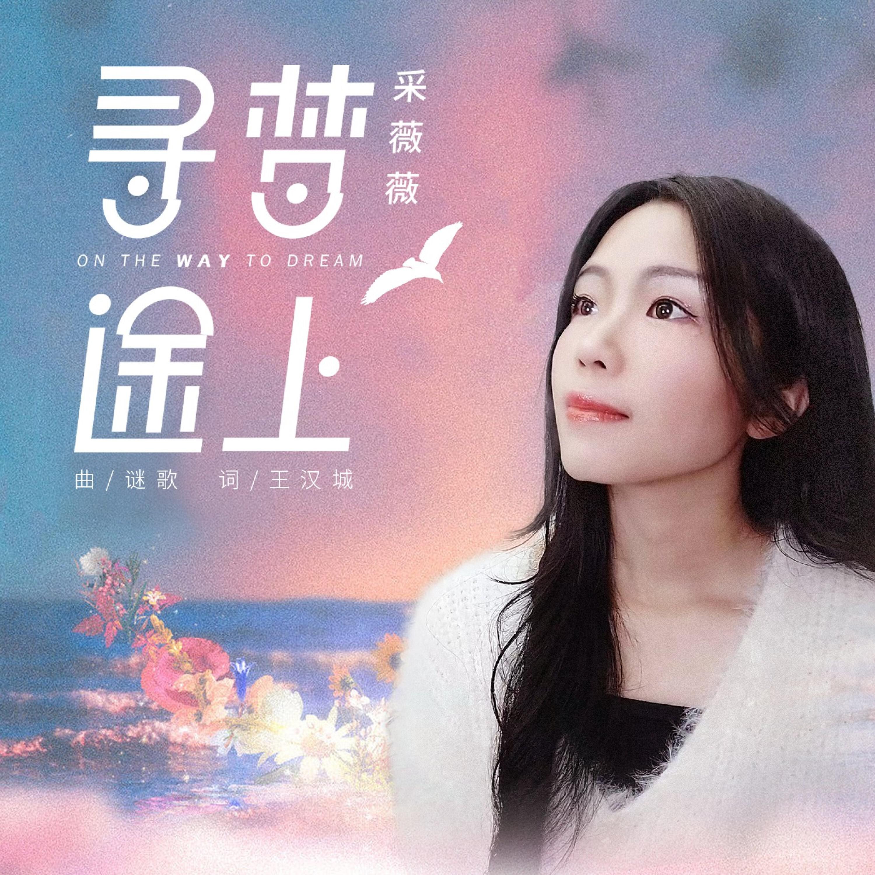 Релиз 寻梦途上