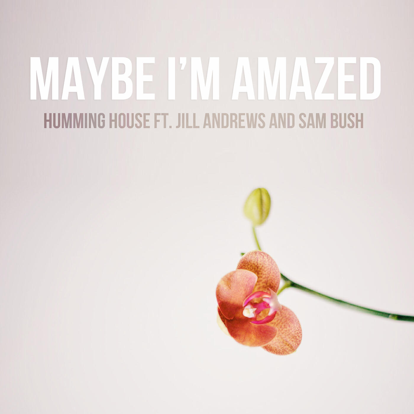 Релиз Maybe I'm Amazed (feat. Jill Andrews & Sam Bush)