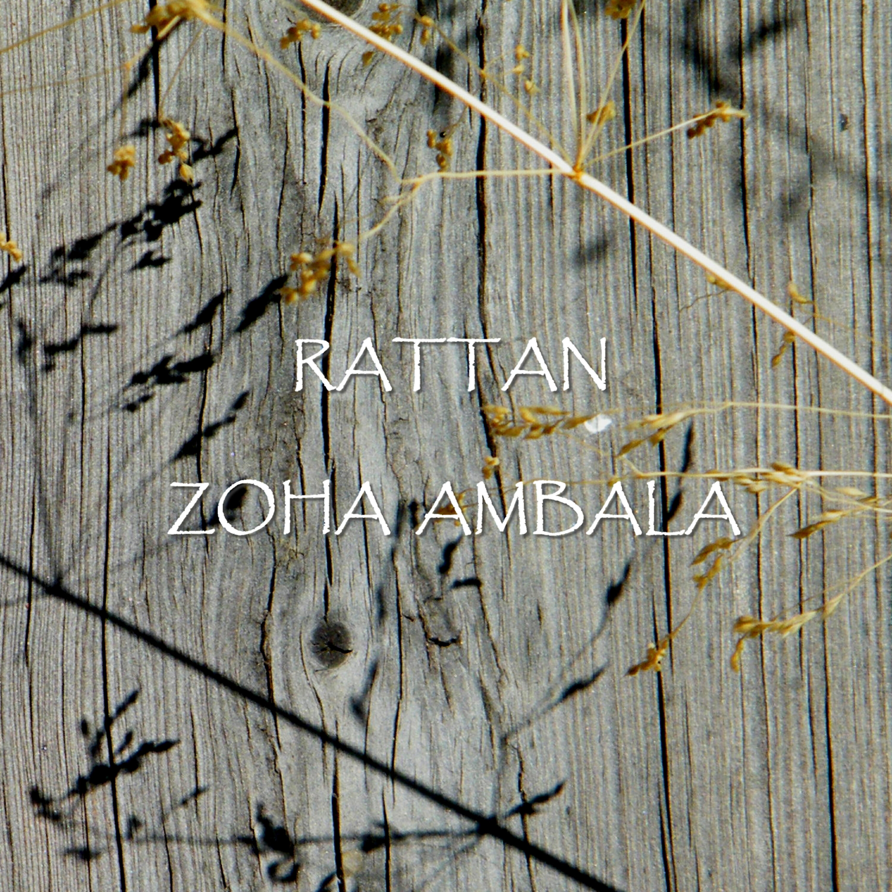 Релиз Rattan