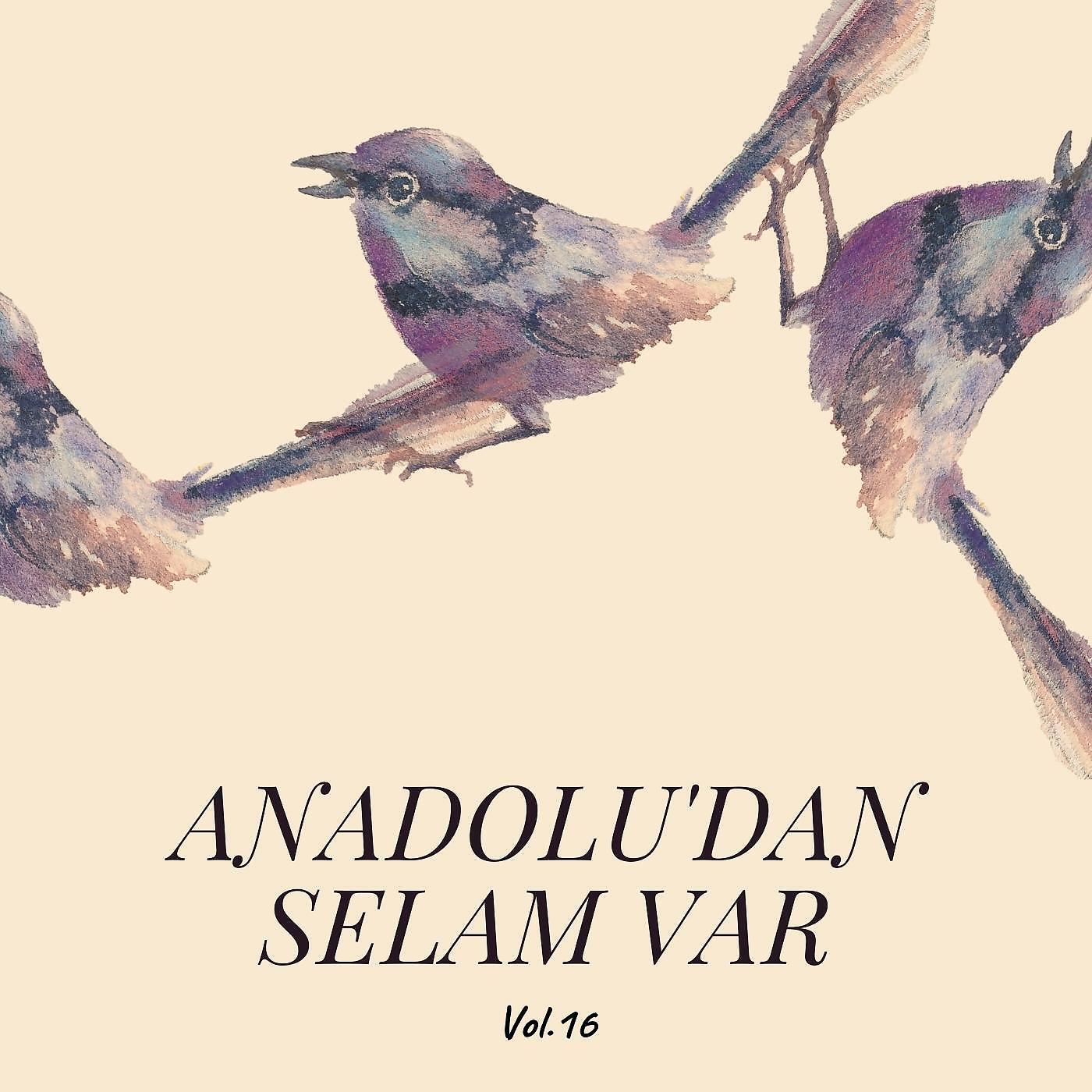 Релиз Anadolu'dan Selam Var, Vol. 16