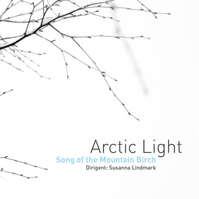 Постер альбома Song of the Mountain Birch