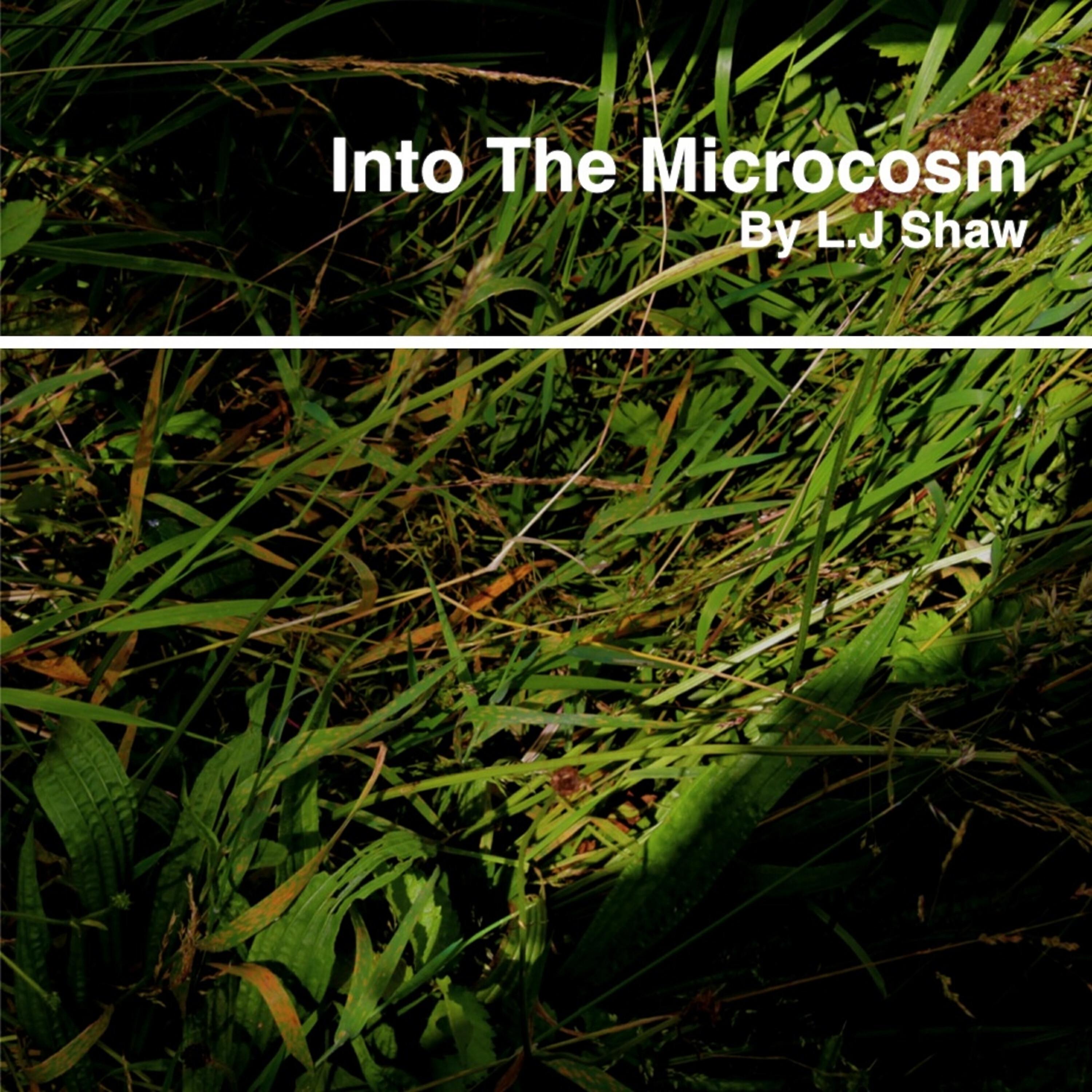 Релиз Into The Microcosm