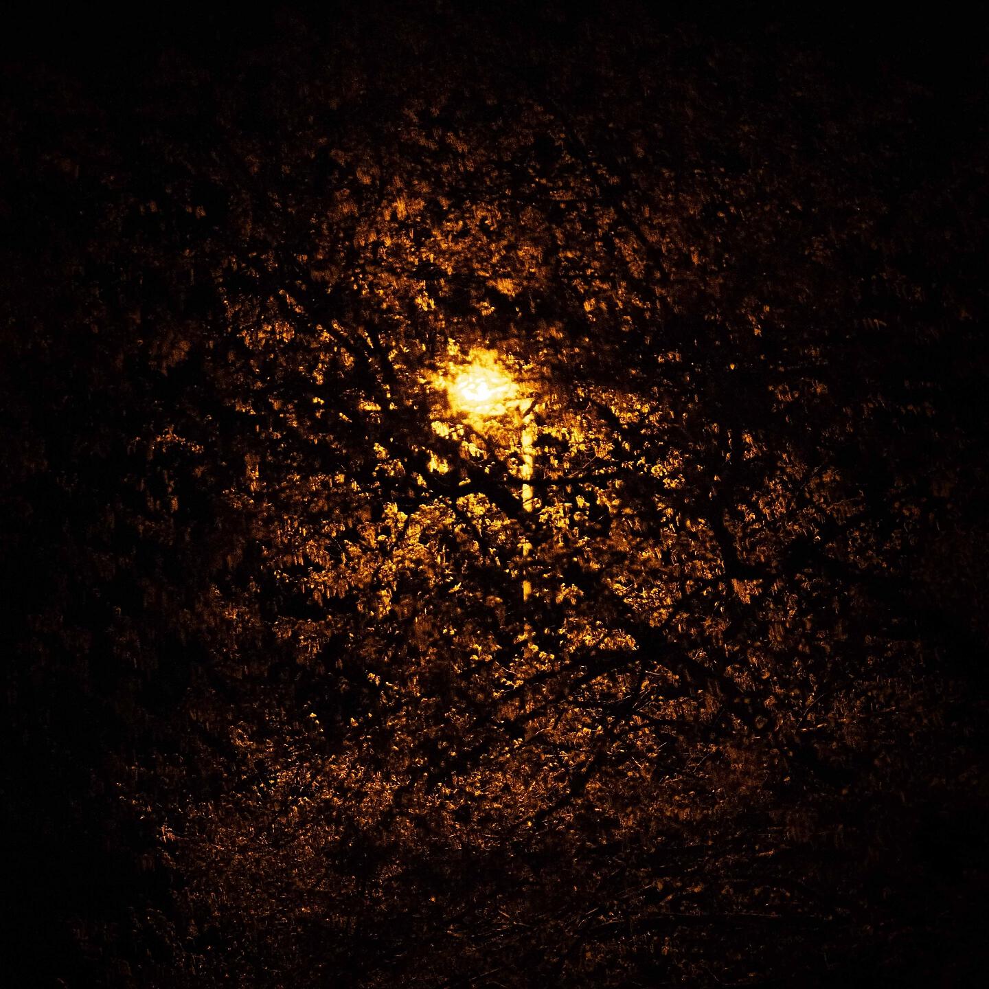 Релиз Schatten
