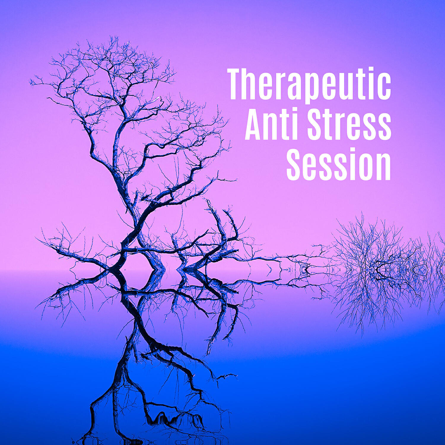 Релиз Therapeutic Anti Stress Session