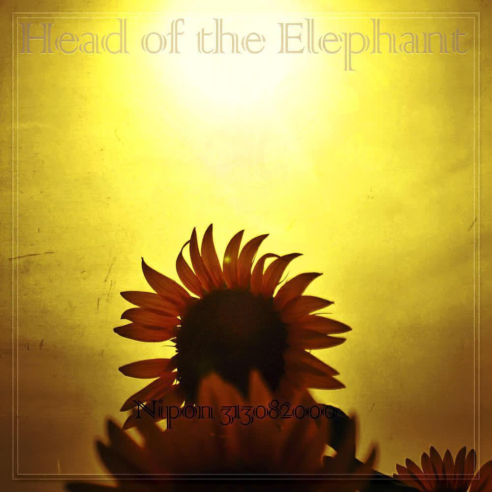 Head of the Elephant