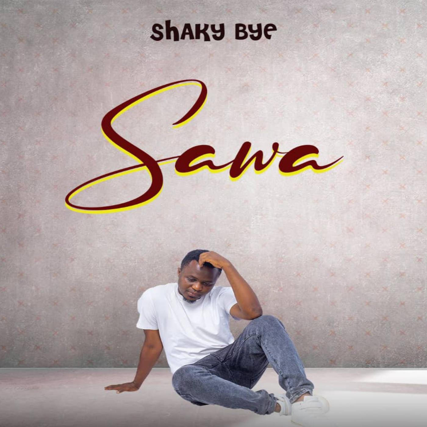 Релиз Sawa