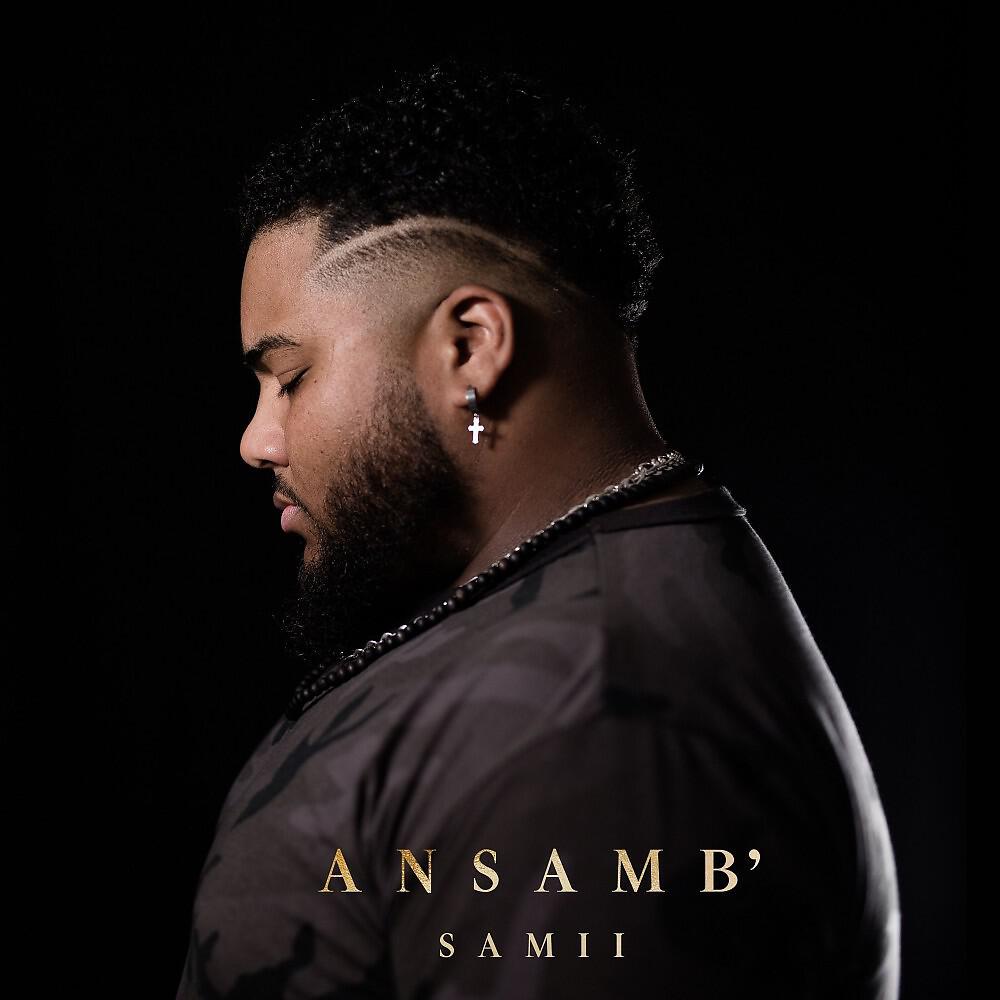 Релиз ANSAMB'