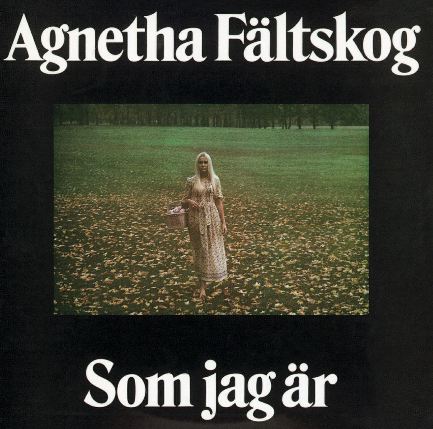 Постер альбома Som jag är