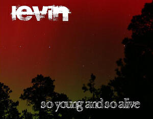 Levin