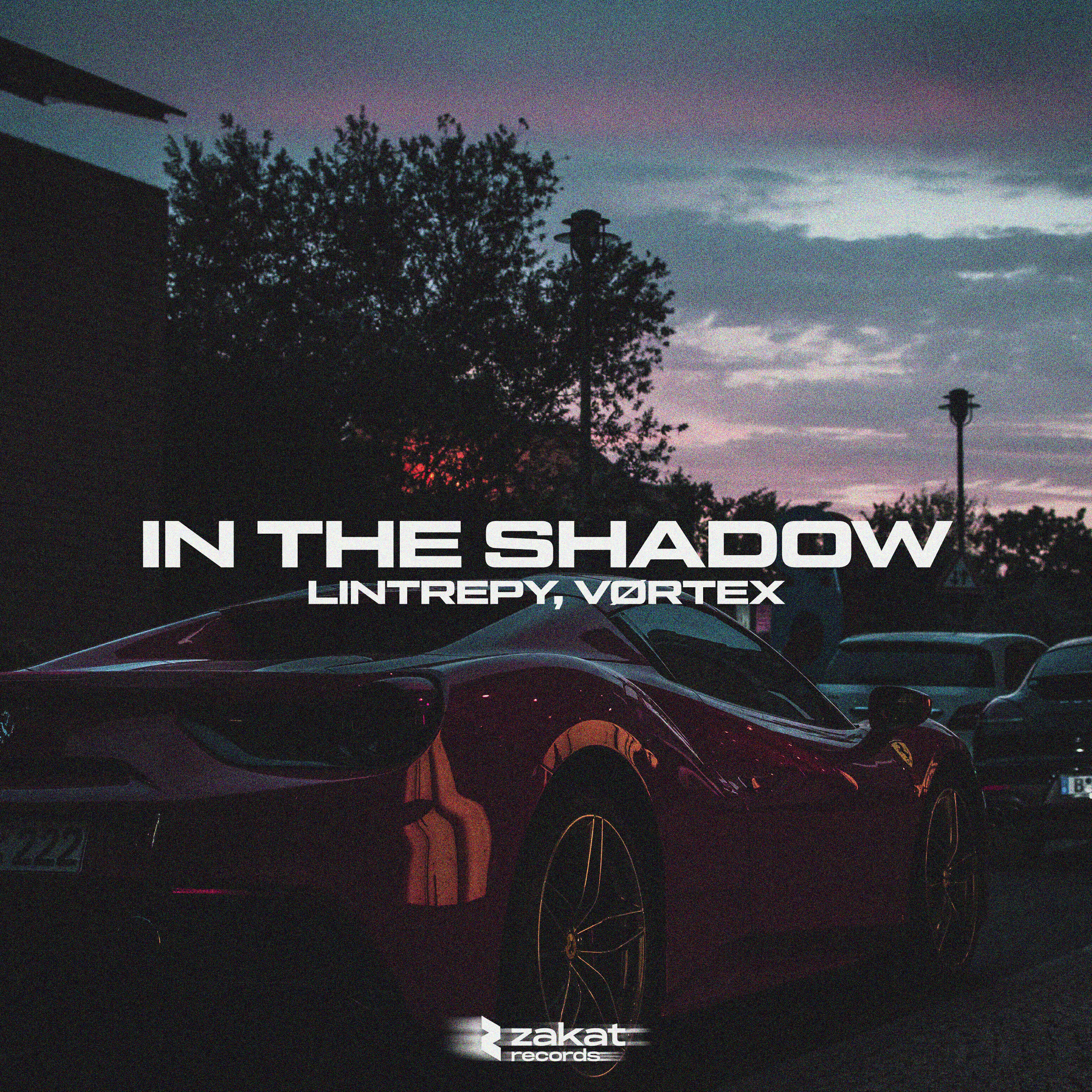 Релиз In the Shadow