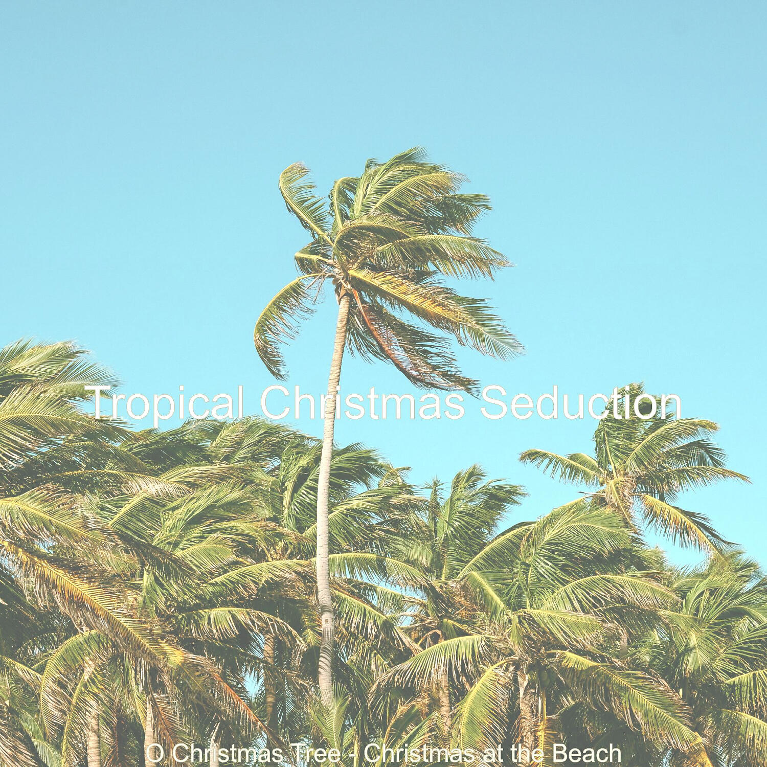 Tropical Christmas Seduction