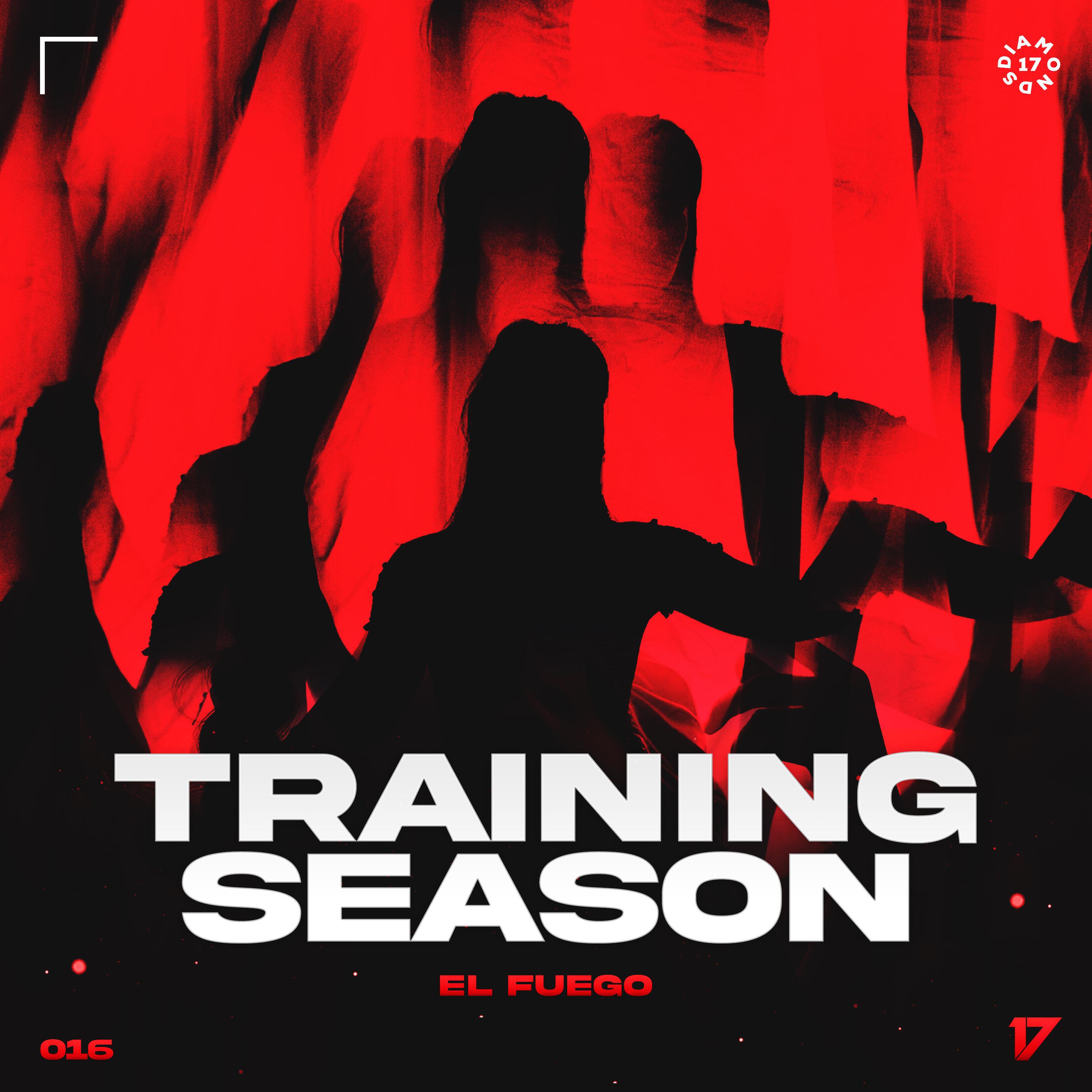 Релиз Training Season (Techno)