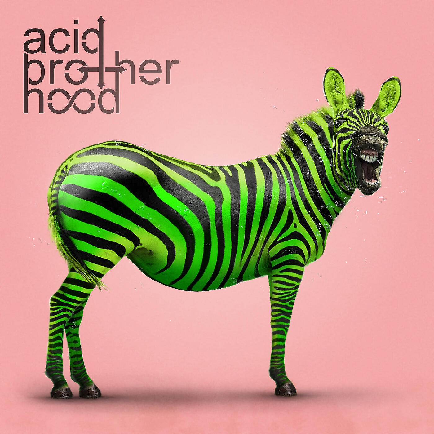 Acid Brotherhood