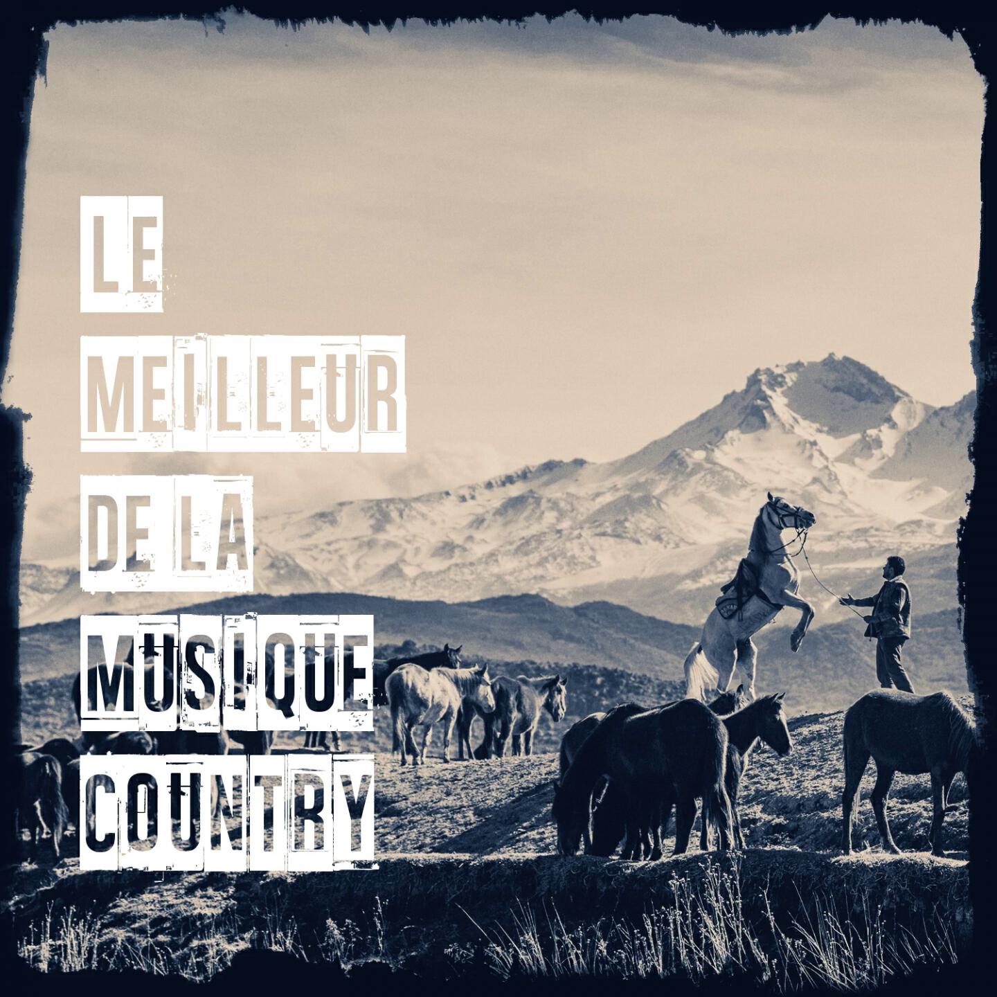 Релиз Le Meilleur De La Musique Country