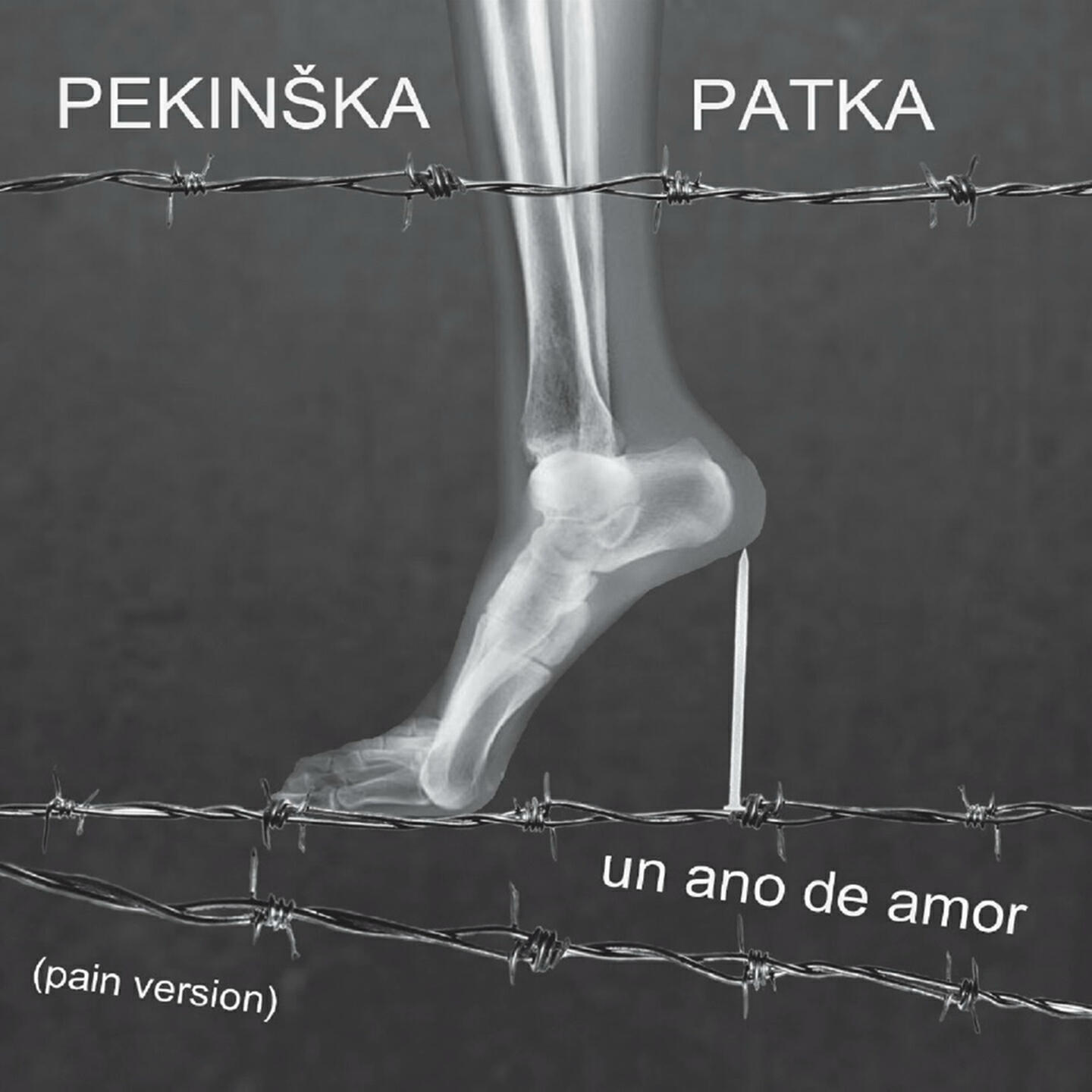 Релиз Un Ano de Amor