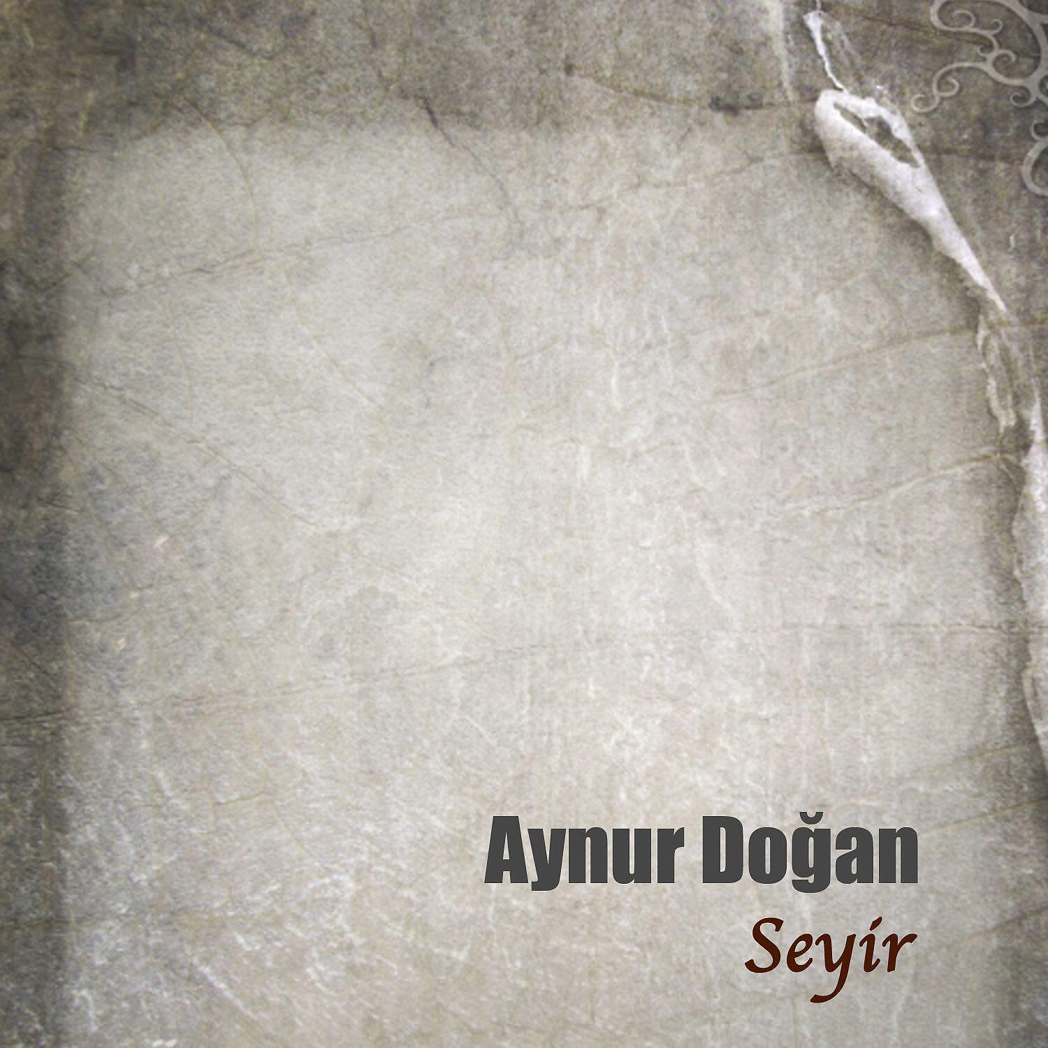 Релиз Seyir