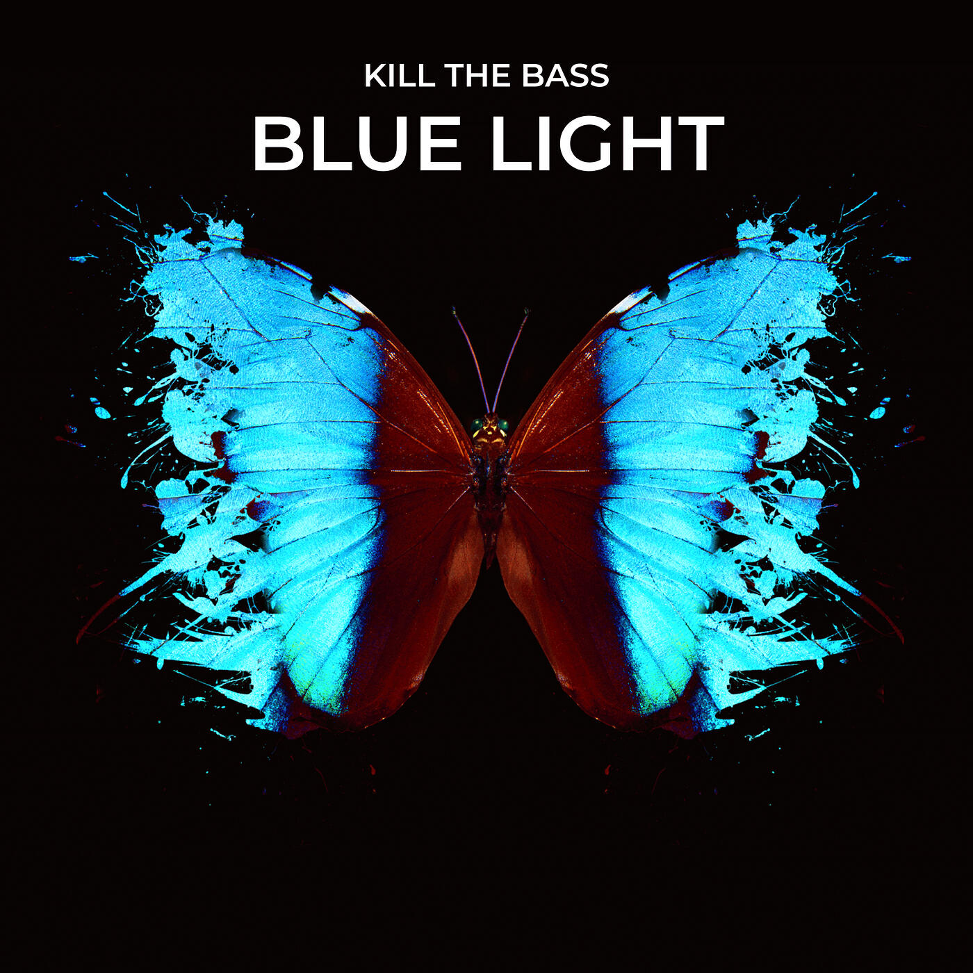 Релиз Blue Light