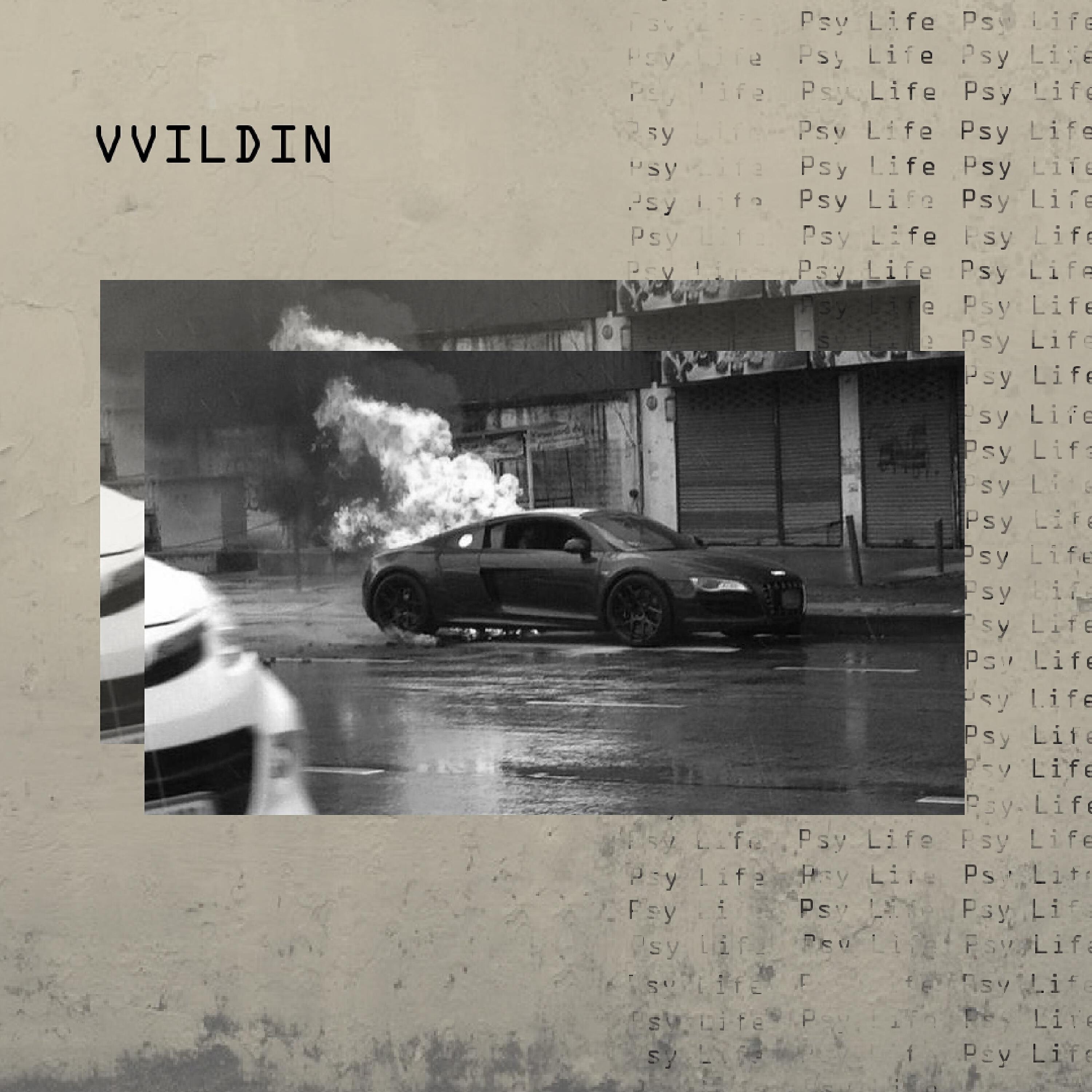 Релиз Vvildin
