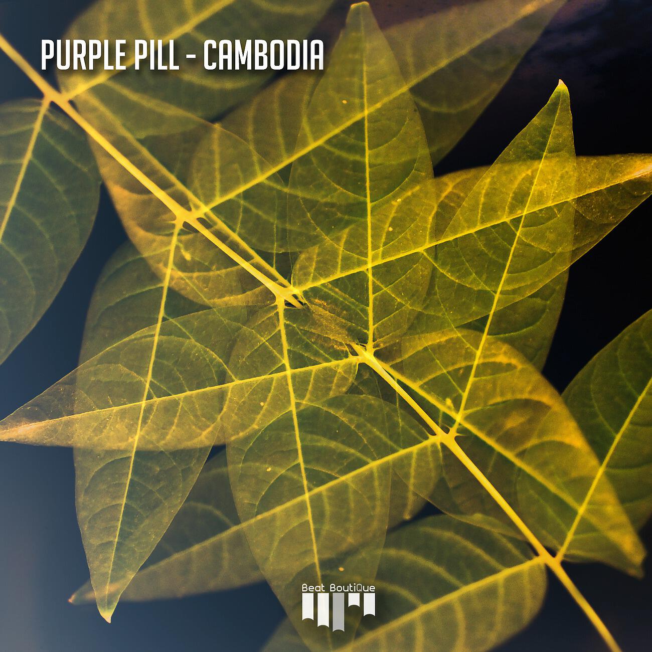 Релиз Cambodia