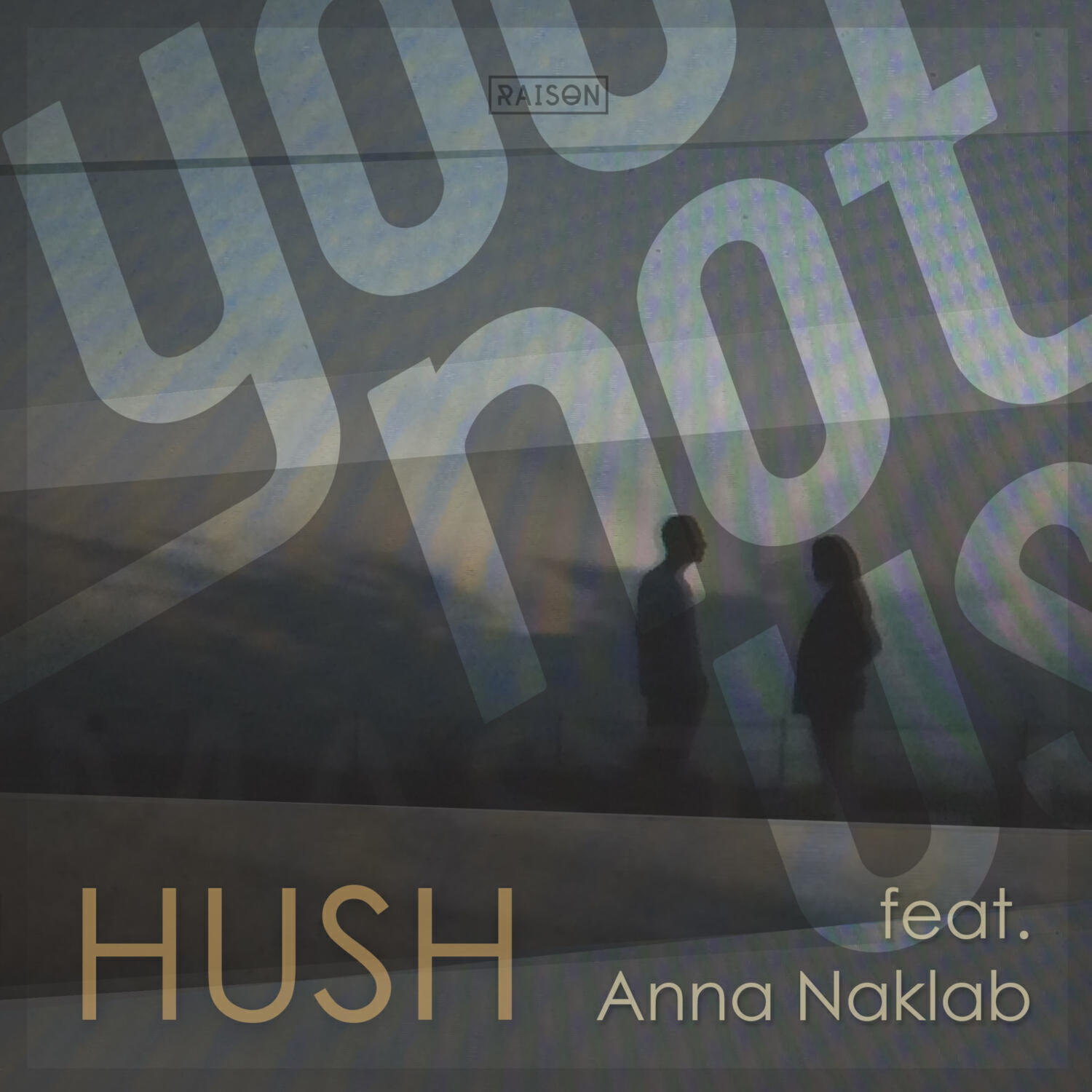 Релиз Hush (feat. Anna Naklab)