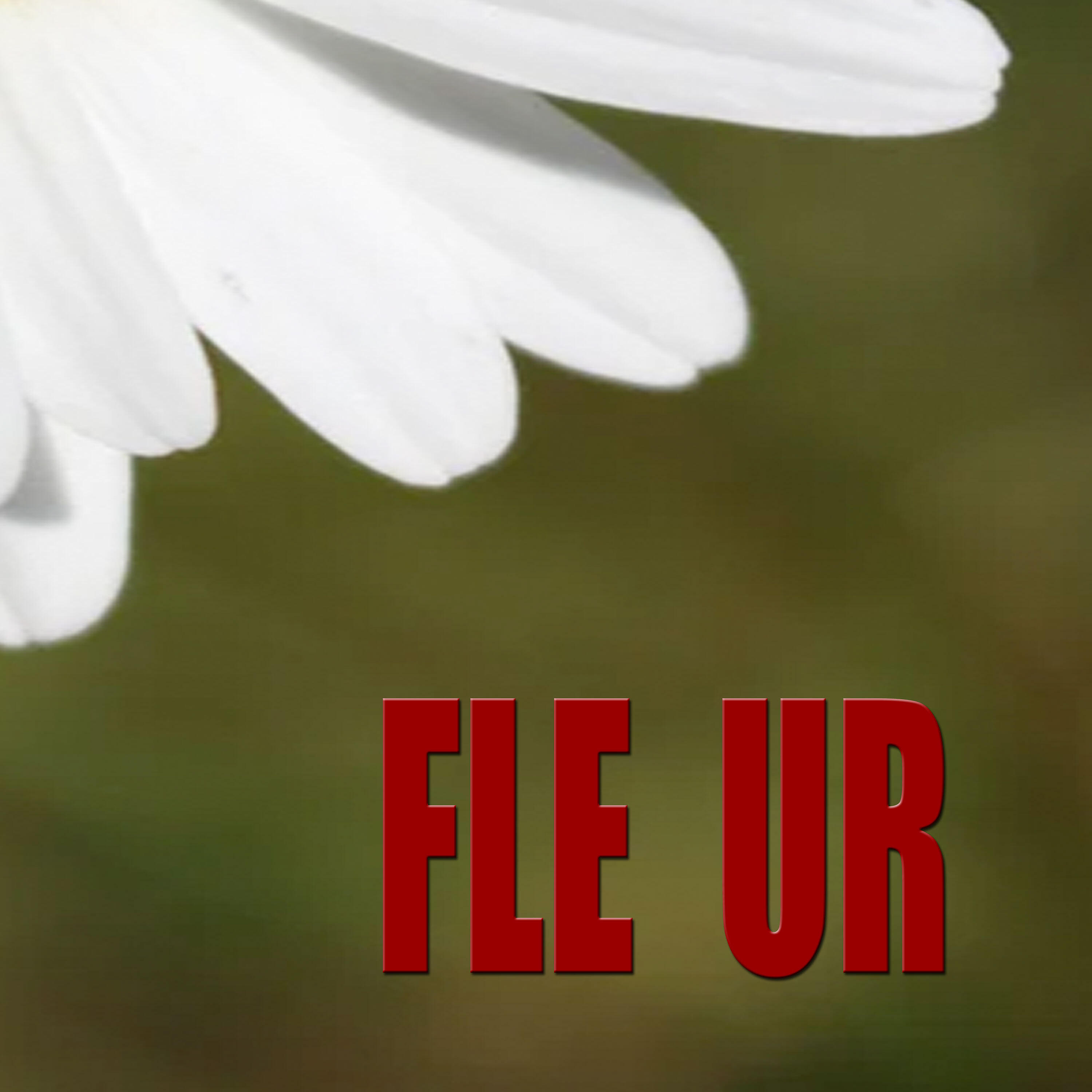 Релиз FLE UR
