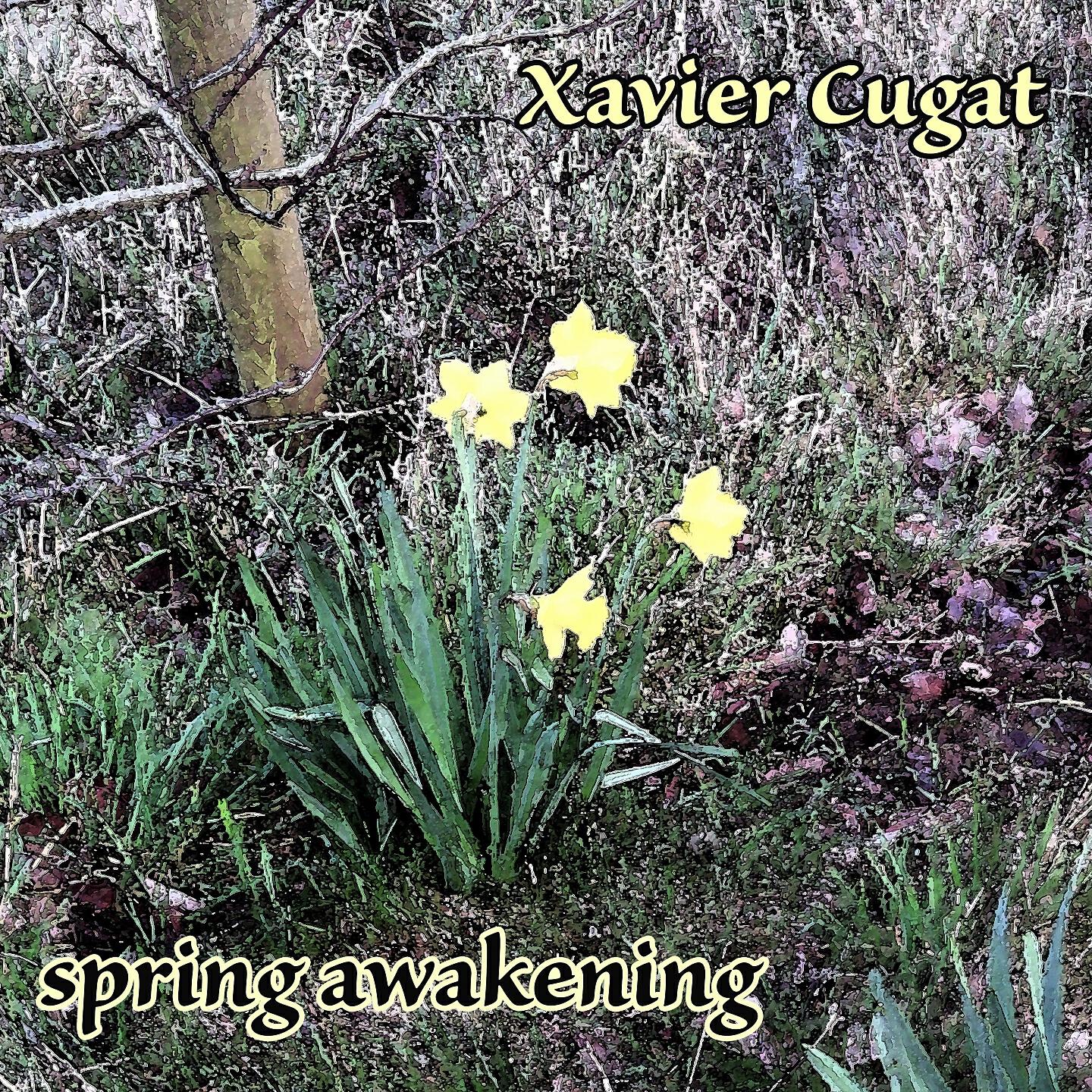 Релиз Spring Awakening
