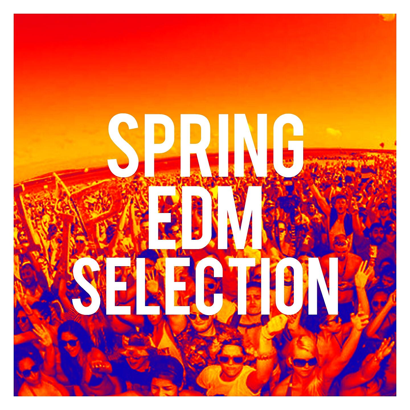 Релиз Spring Edm Selection